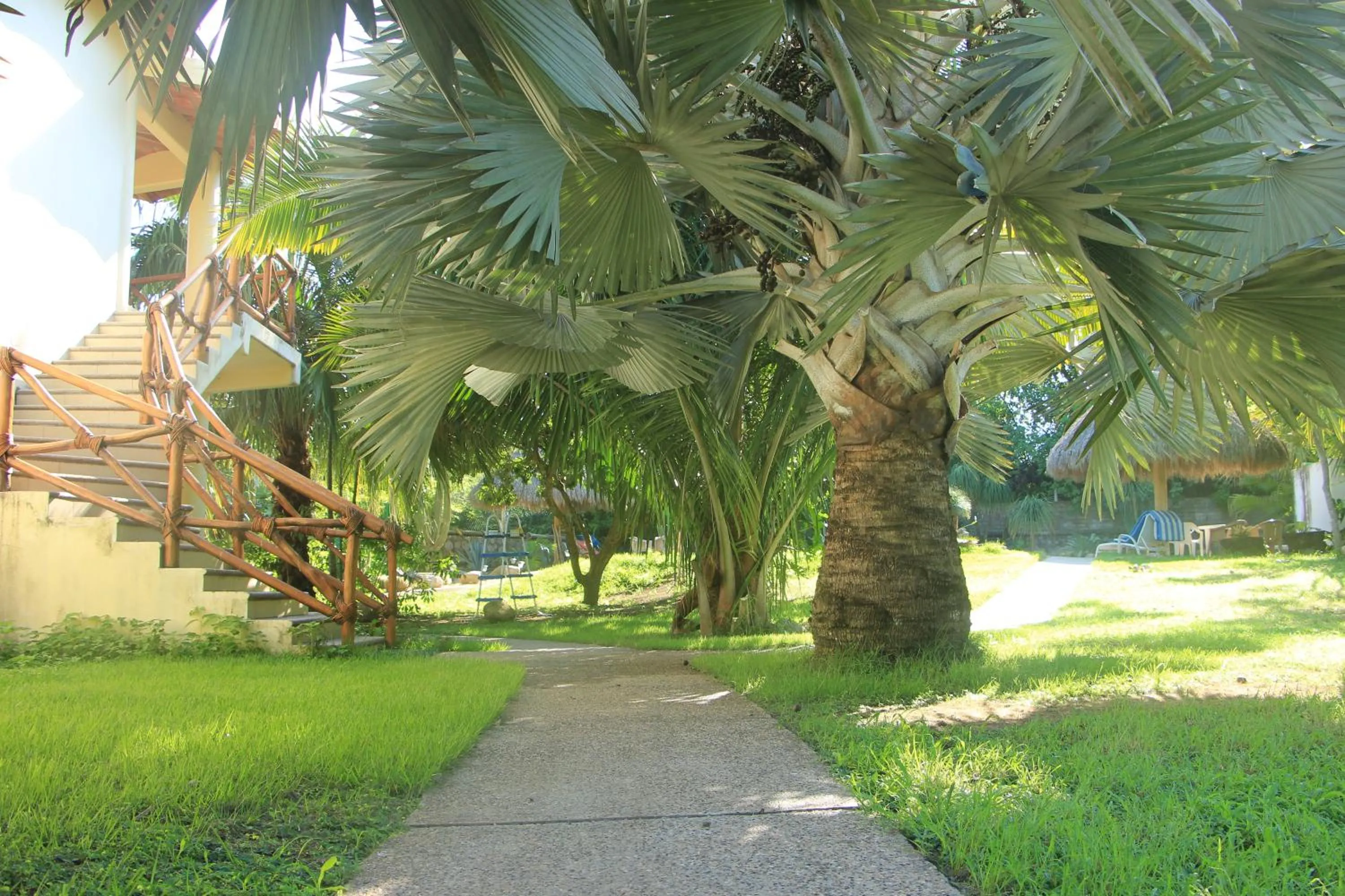 Garden in Casa Del Sol