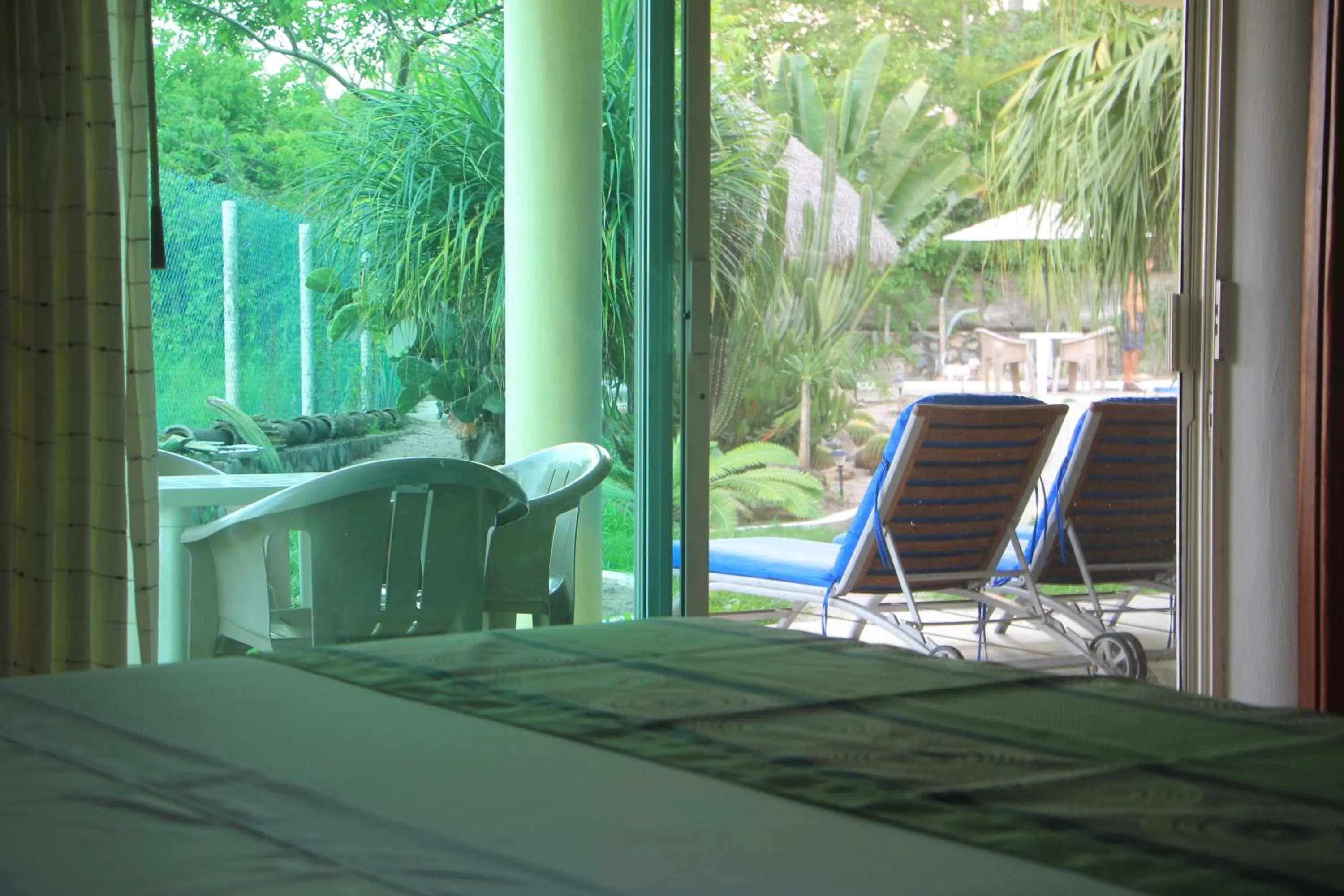 Garden in Casa Del Sol