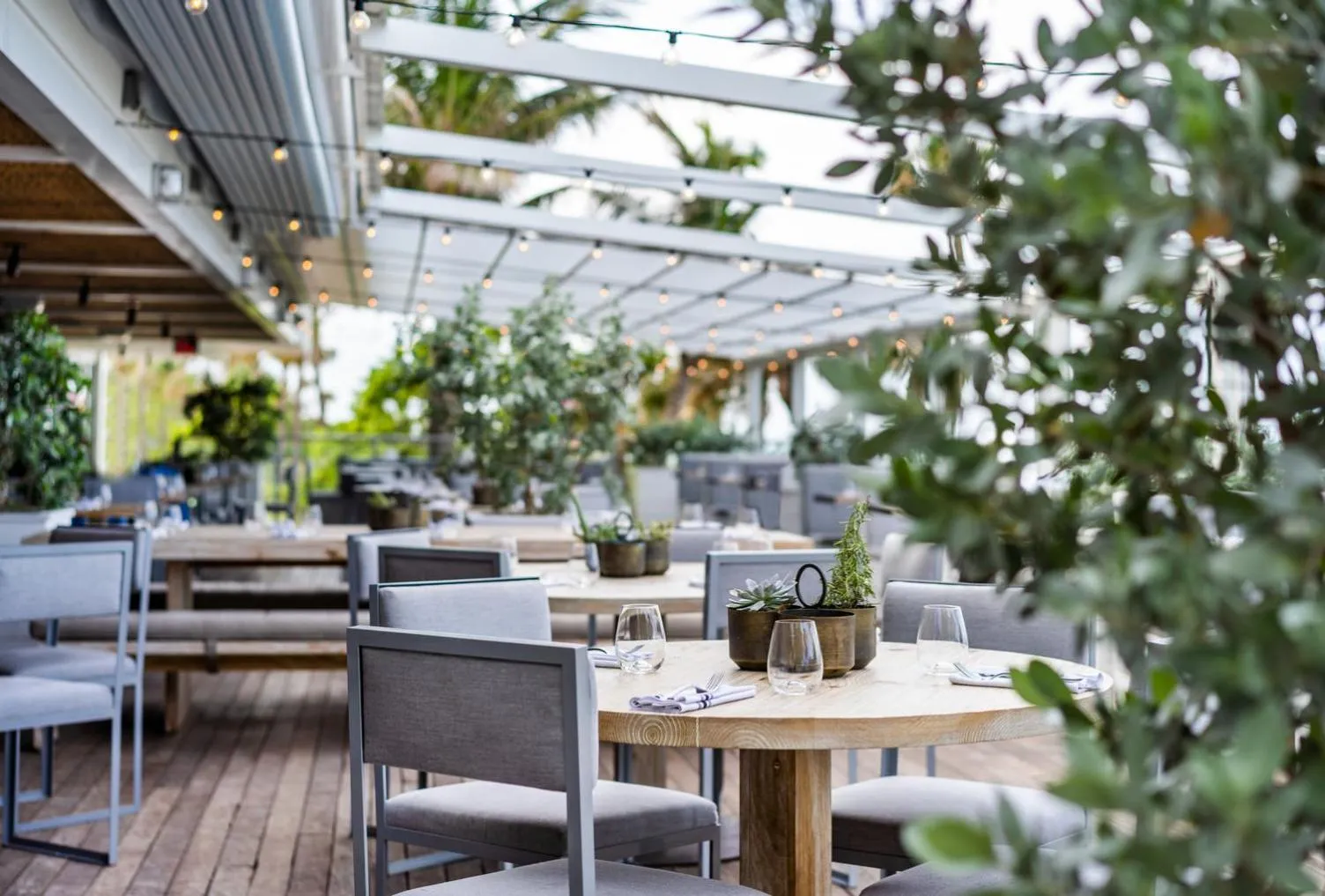 Restaurant/places to eat in Nobu Hotel Miami Beach