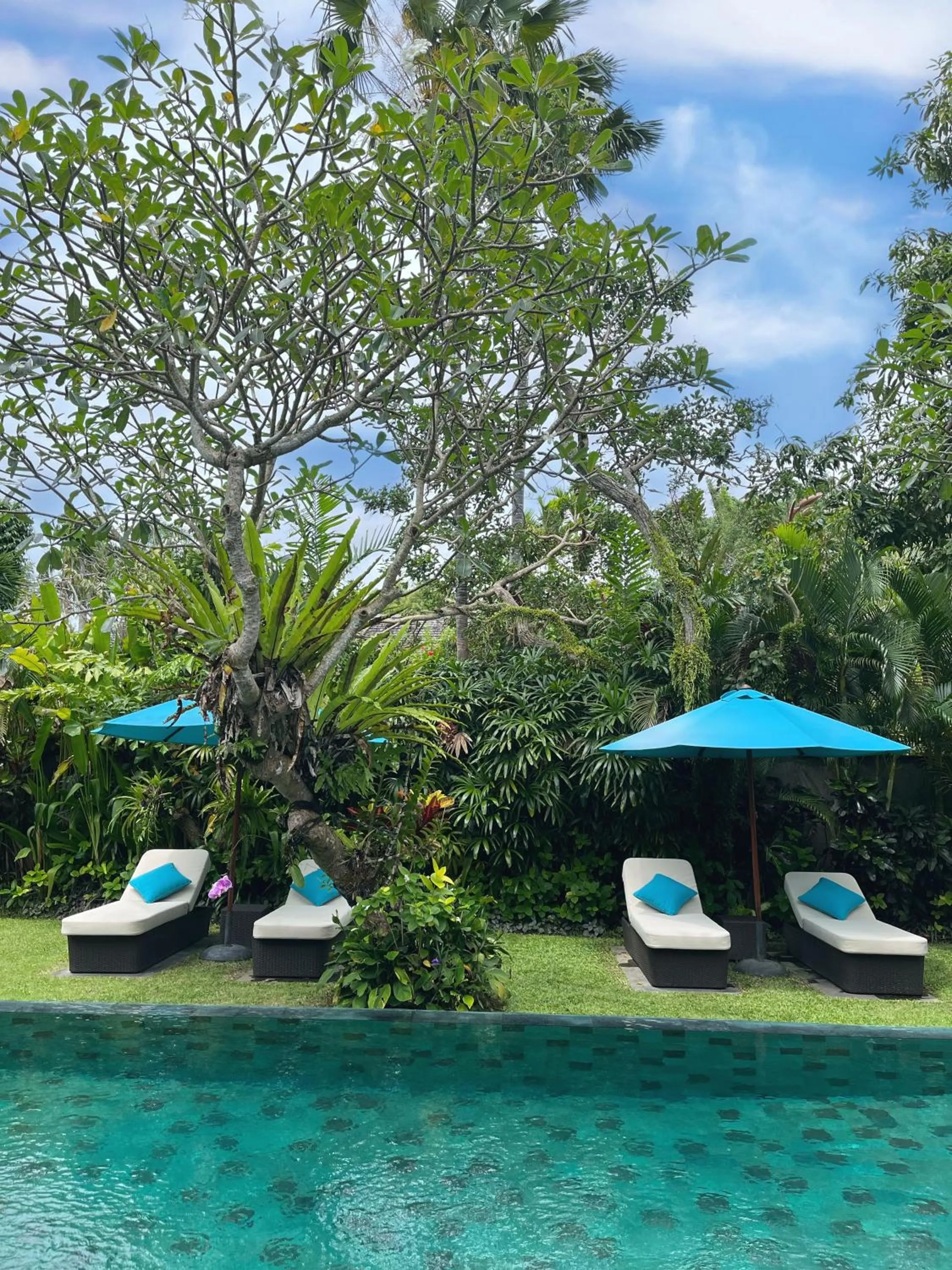 Swimming pool in Villa Sally