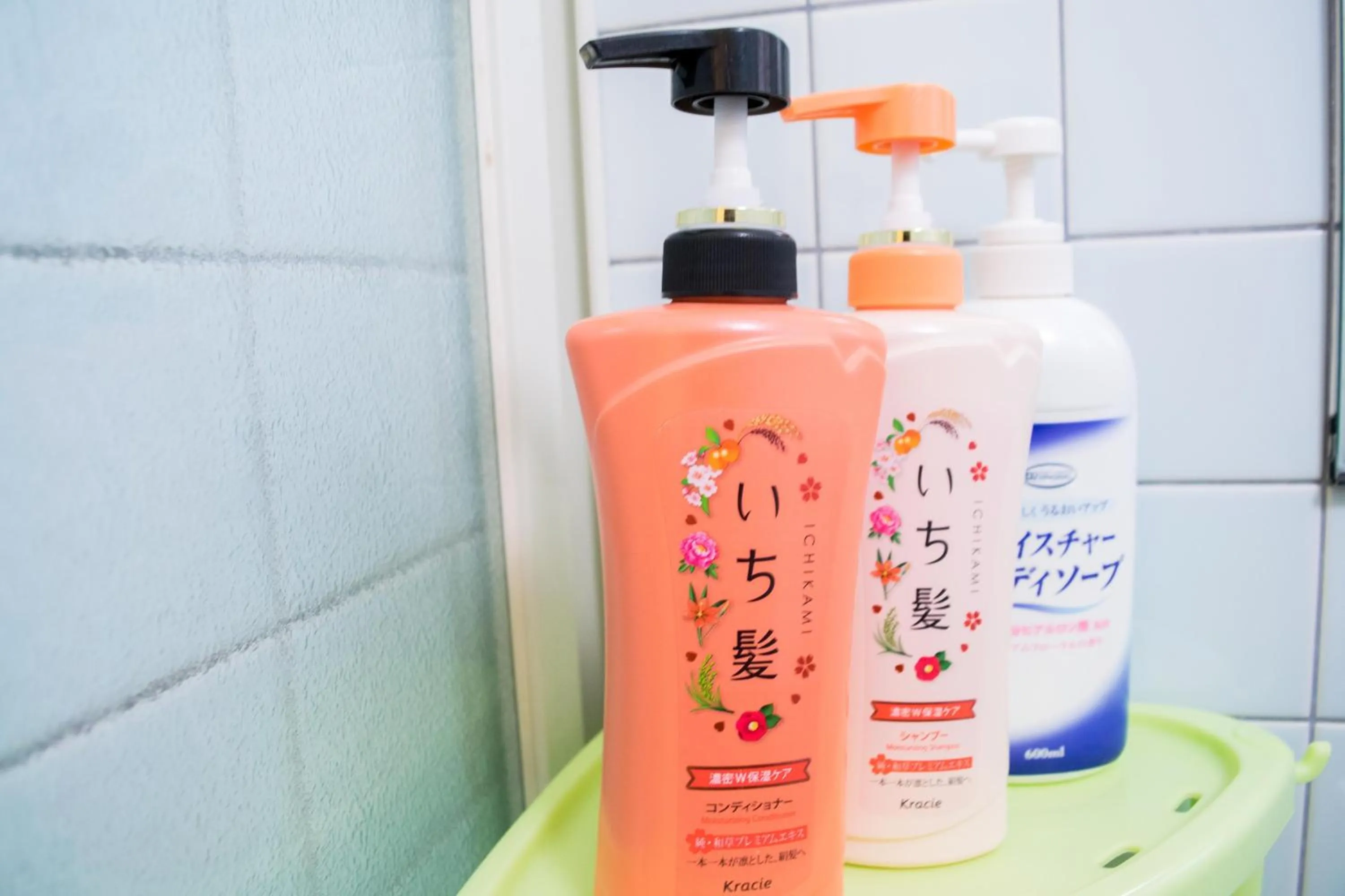 Shower in Jizo House