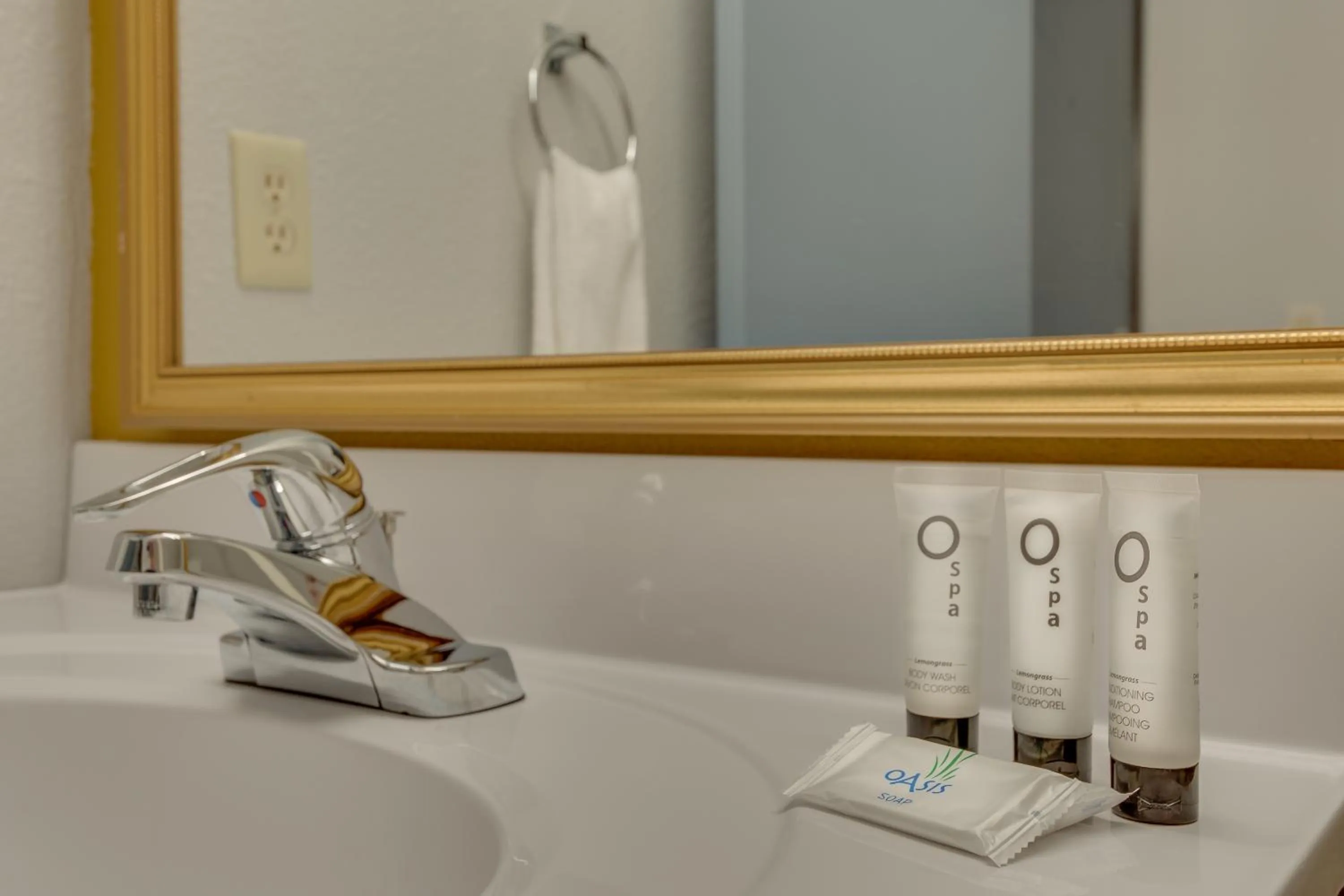 Bathroom in Vagabond Inn Executive Hayward