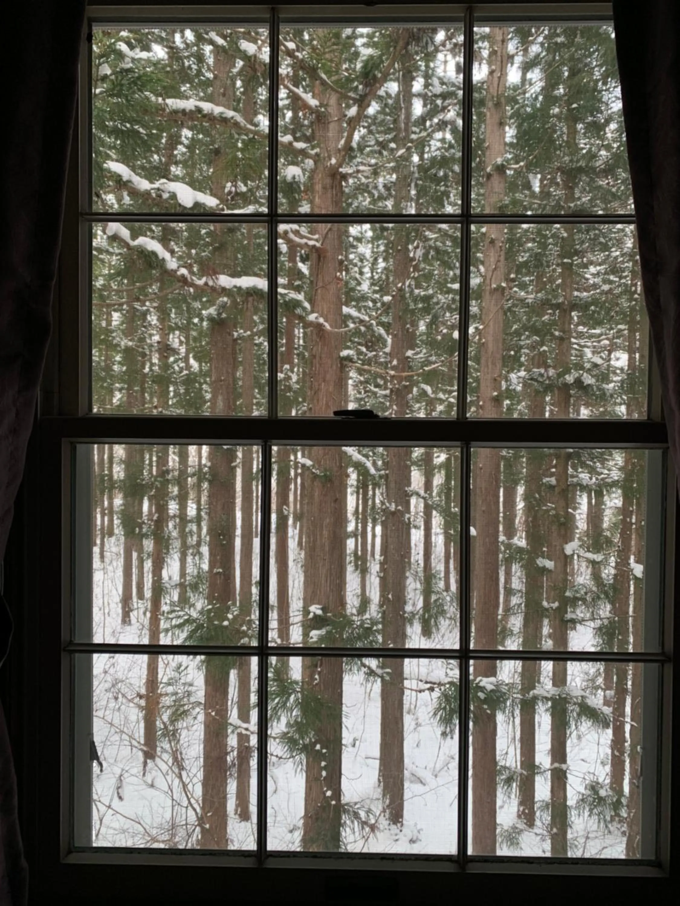 Wadano Forest Hotel & Apartments