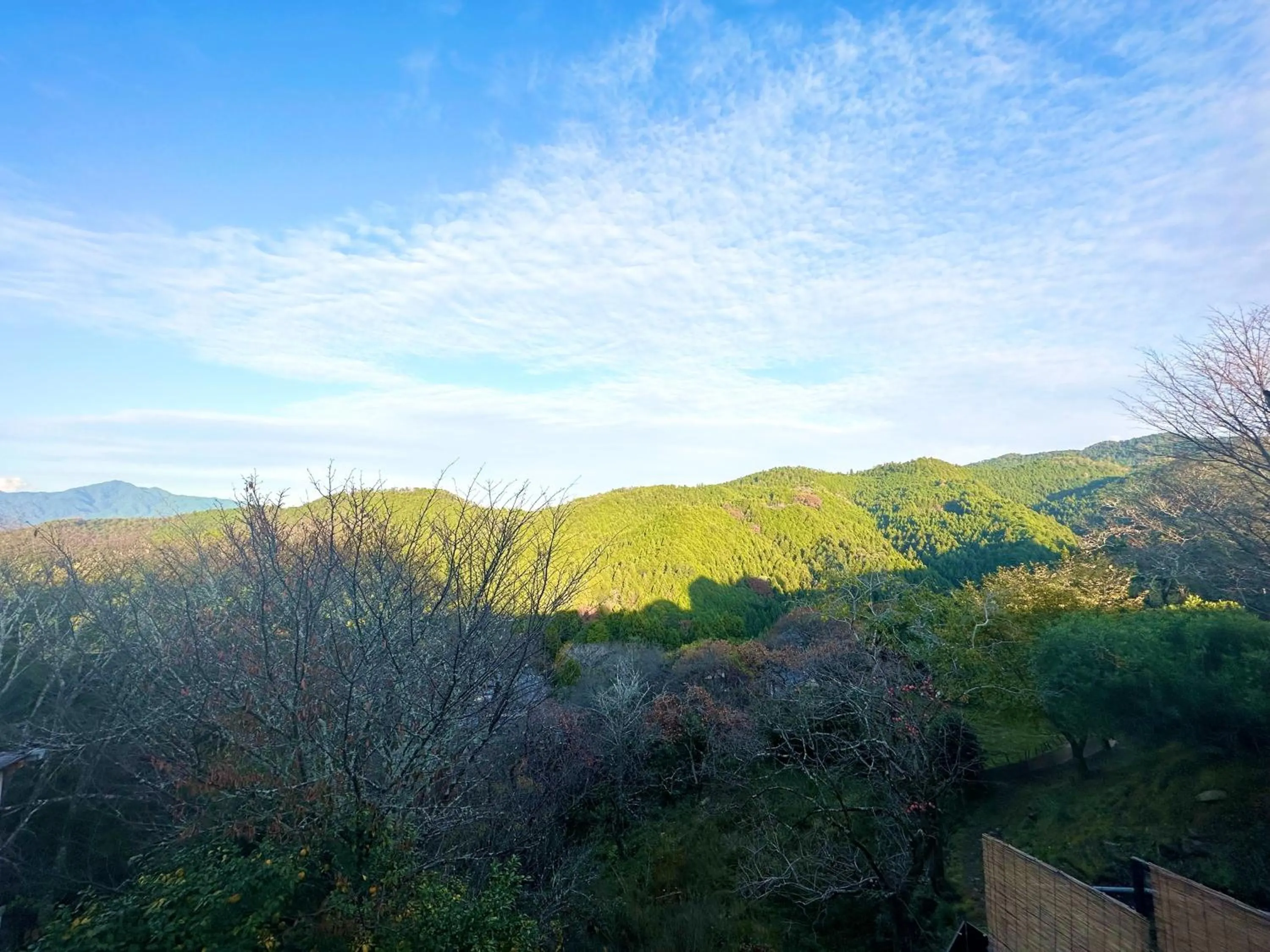 View (from property/room) in 吉野荘湯川屋 Yoshinosou Yukawaya