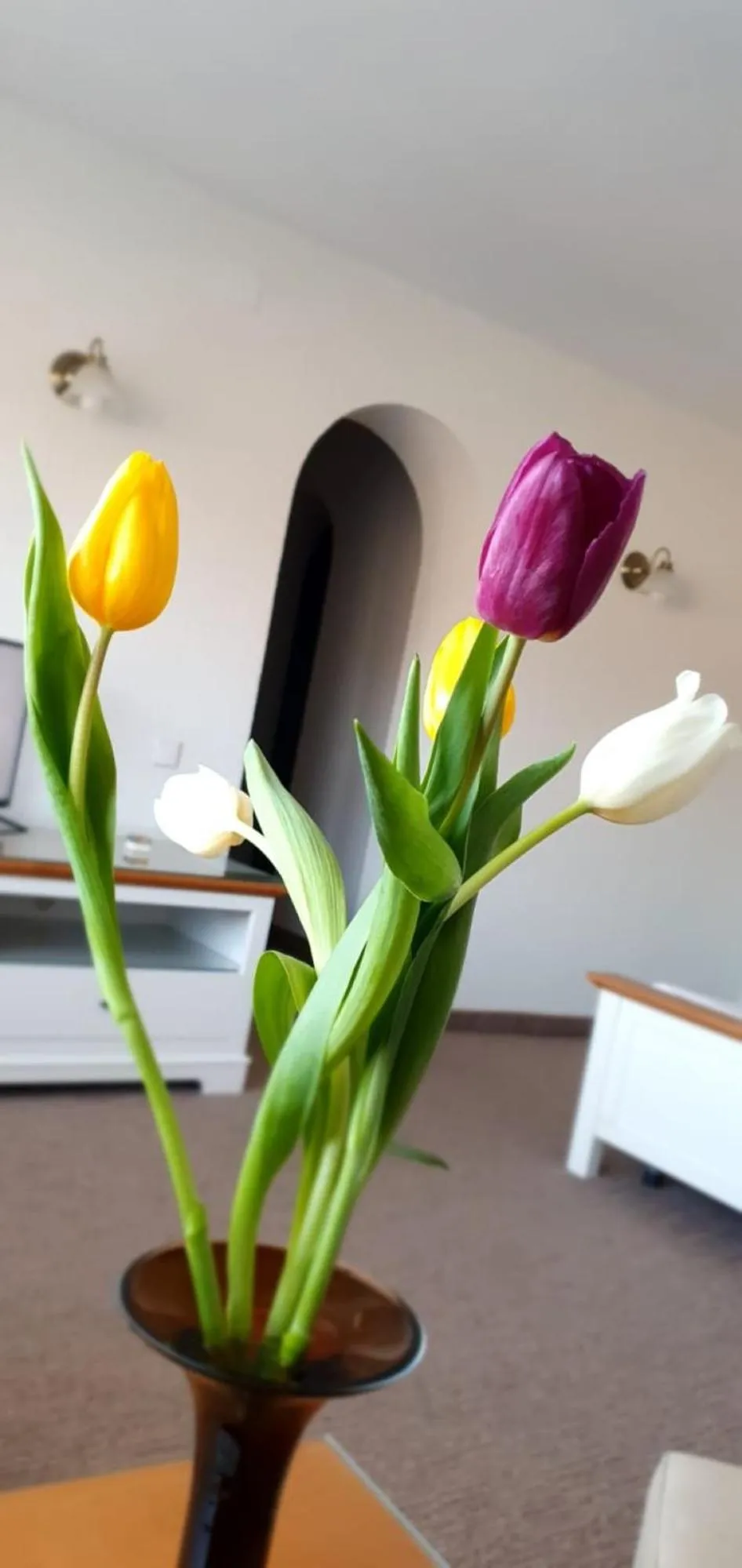 TV and multimedia in Hotel Monteoru