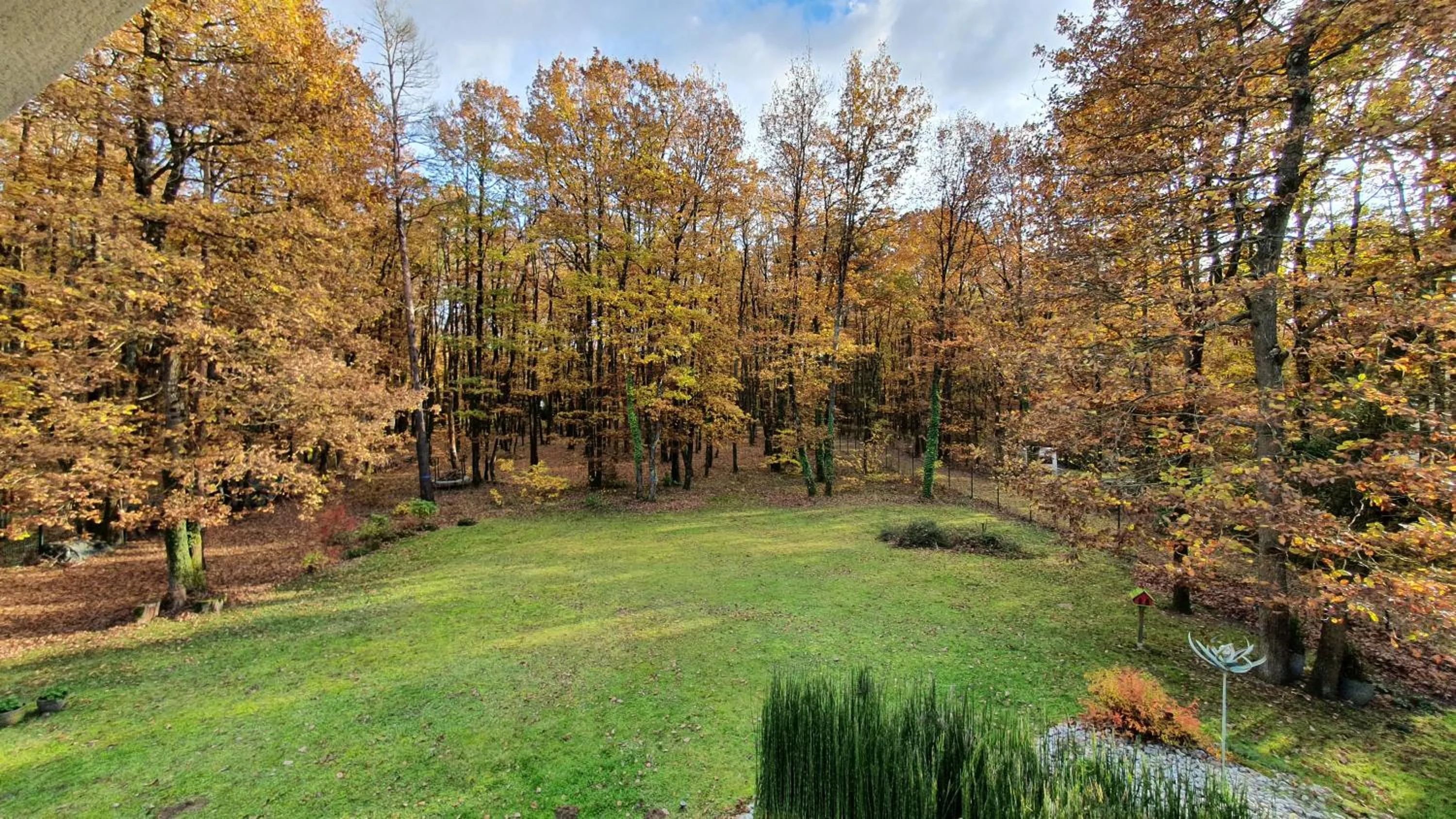 Garden in Logis Saponine Chambres d'Hôtes au calme en Touraine