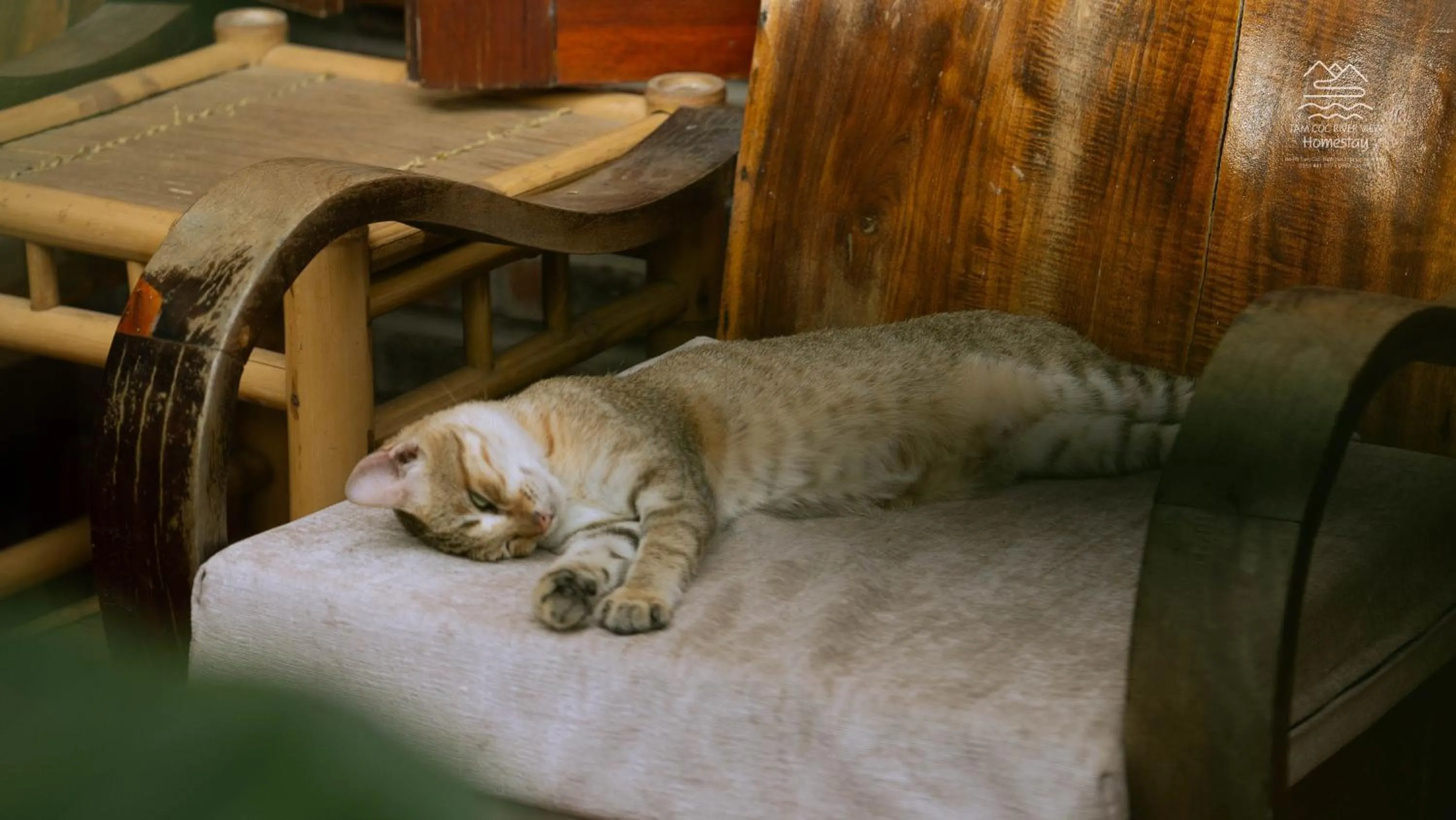 Pets in Tam Coc River View Homestay