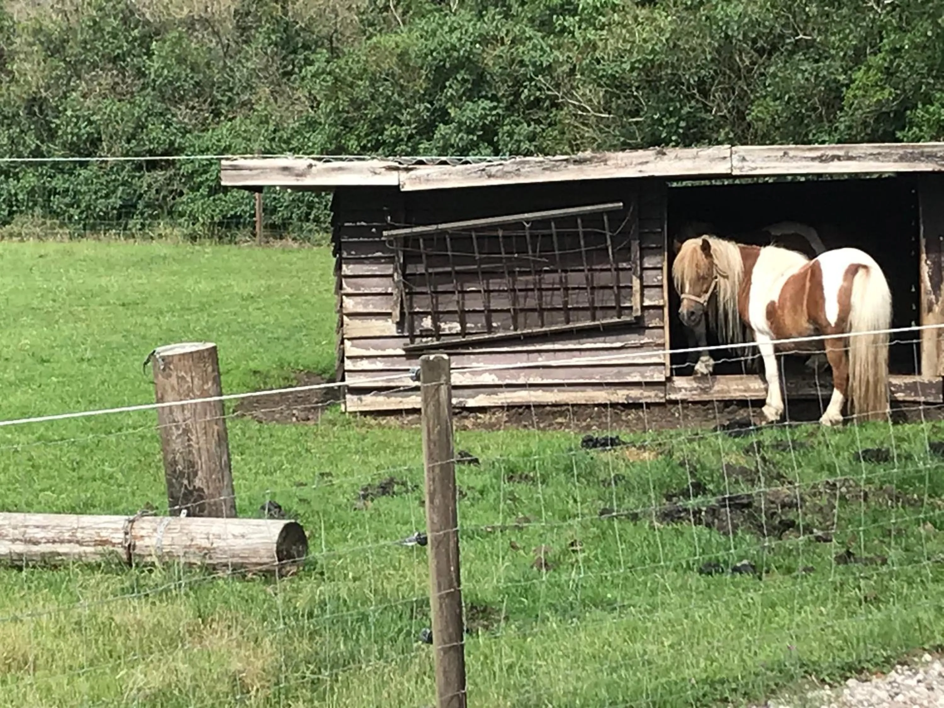 Familiehuis Boysen Appartementen