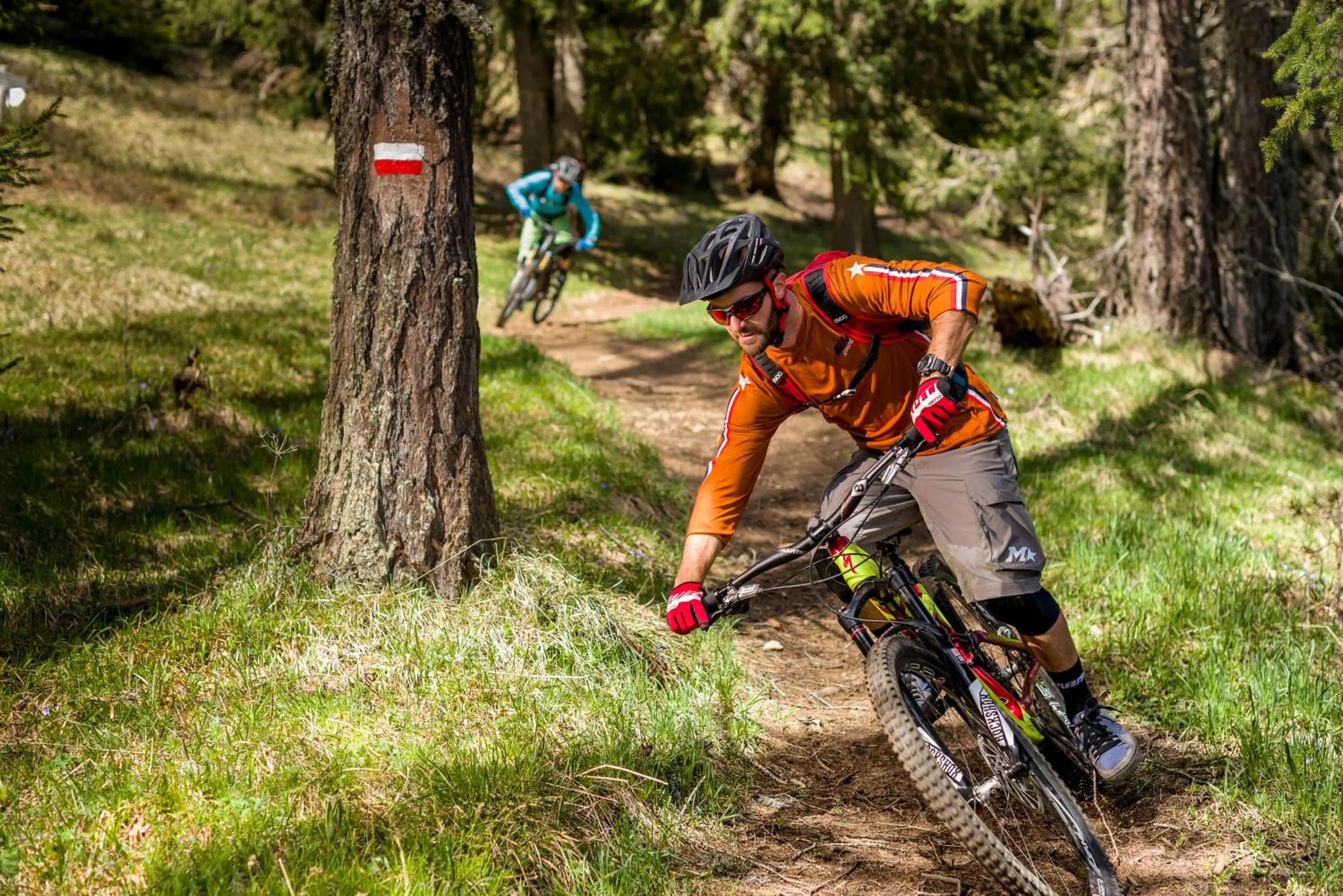 Cycling in Gasthof Hotel Terzer