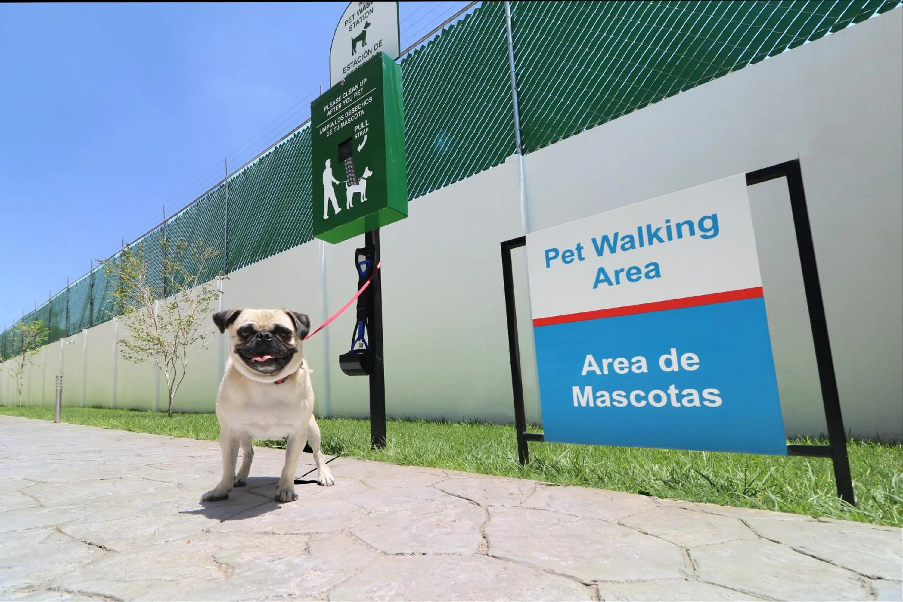 Garden in Candlewood Suites - Celaya by IHG