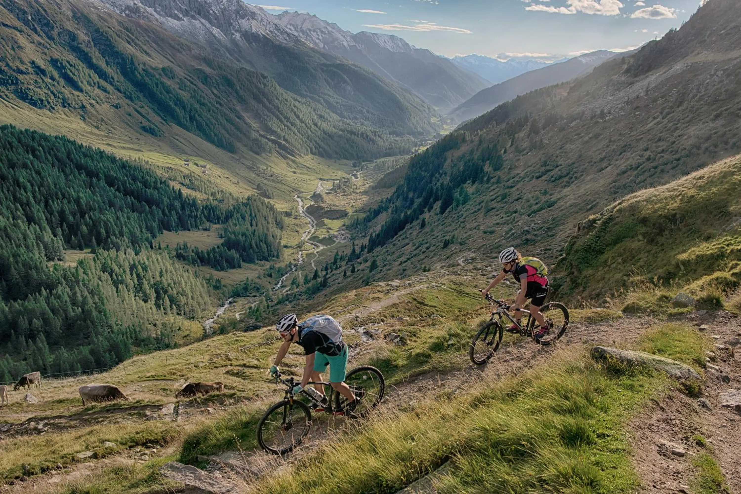 Activities in Hotel Adler