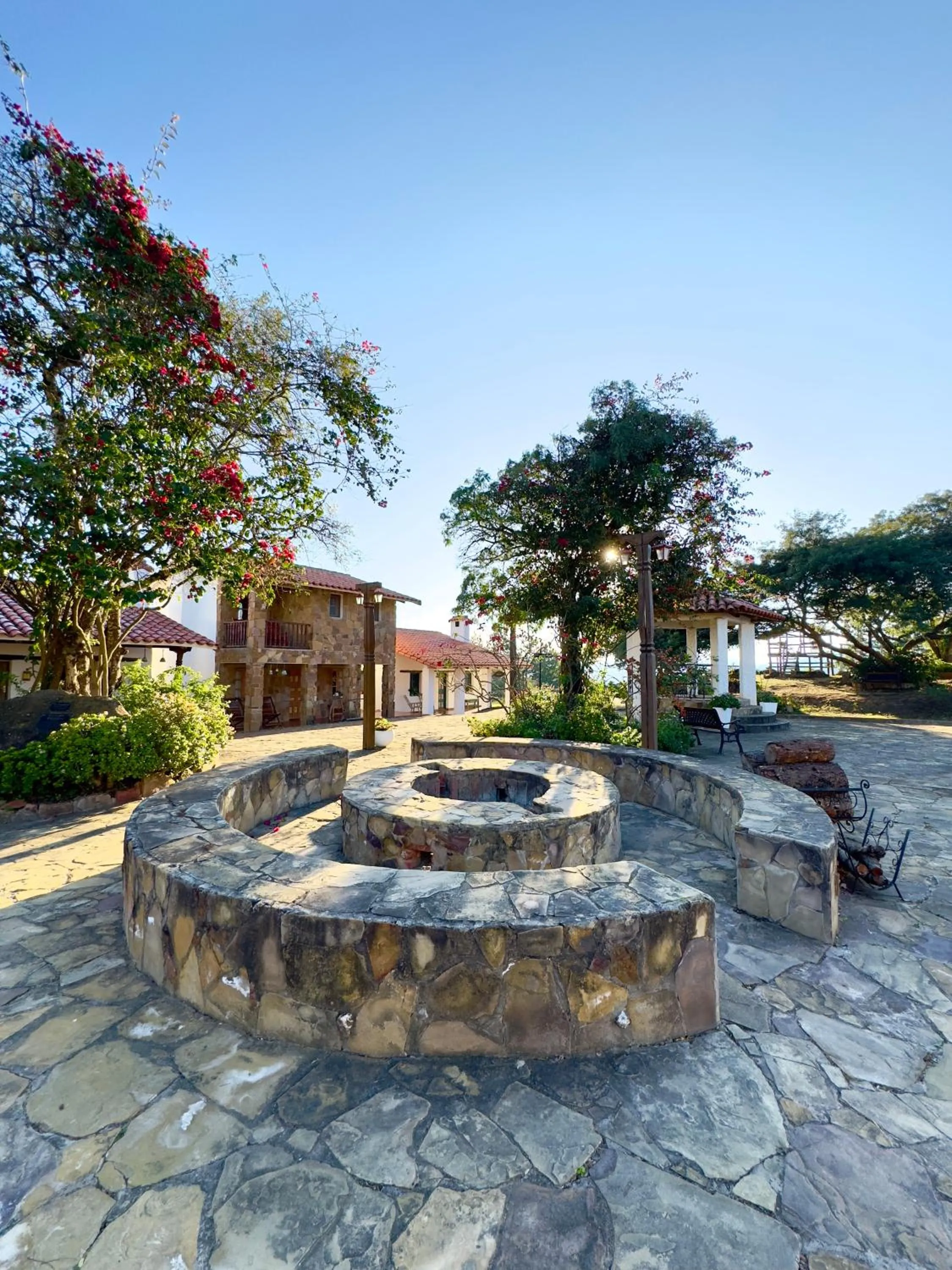 Garden in El Pueblito Hotel Boutique