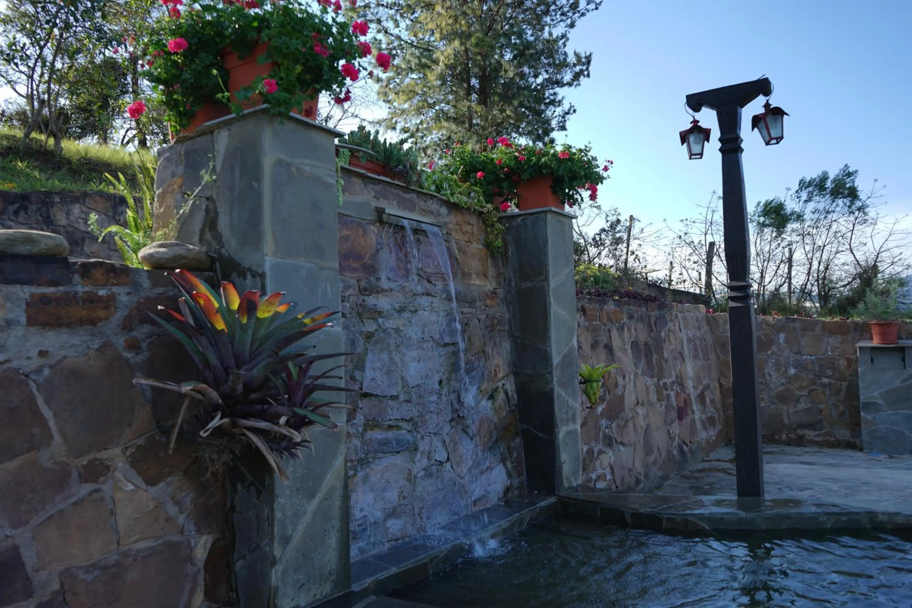 Swimming pool in El Pueblito Hotel Boutique