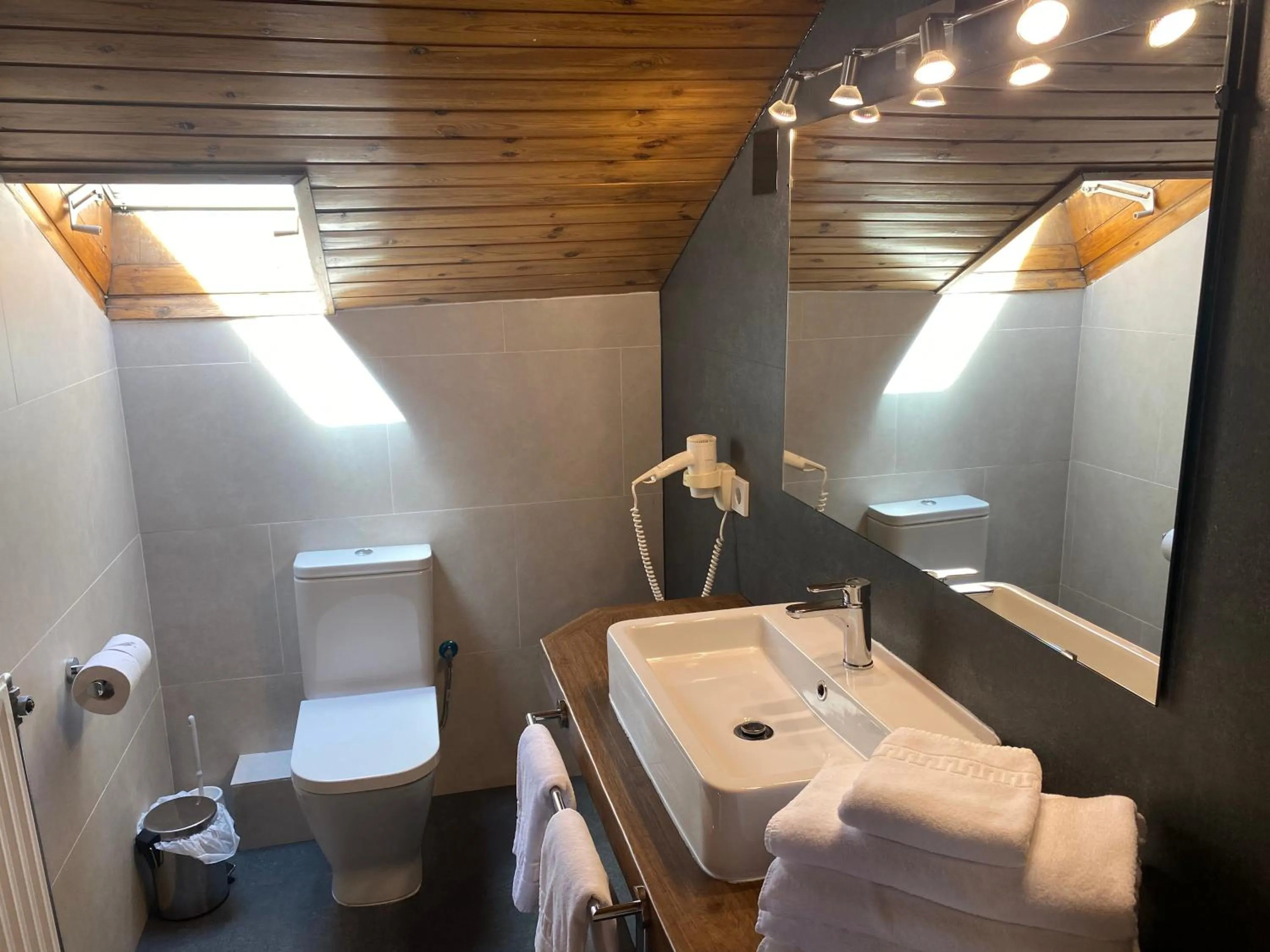 Bathroom in Hotel Esquirol