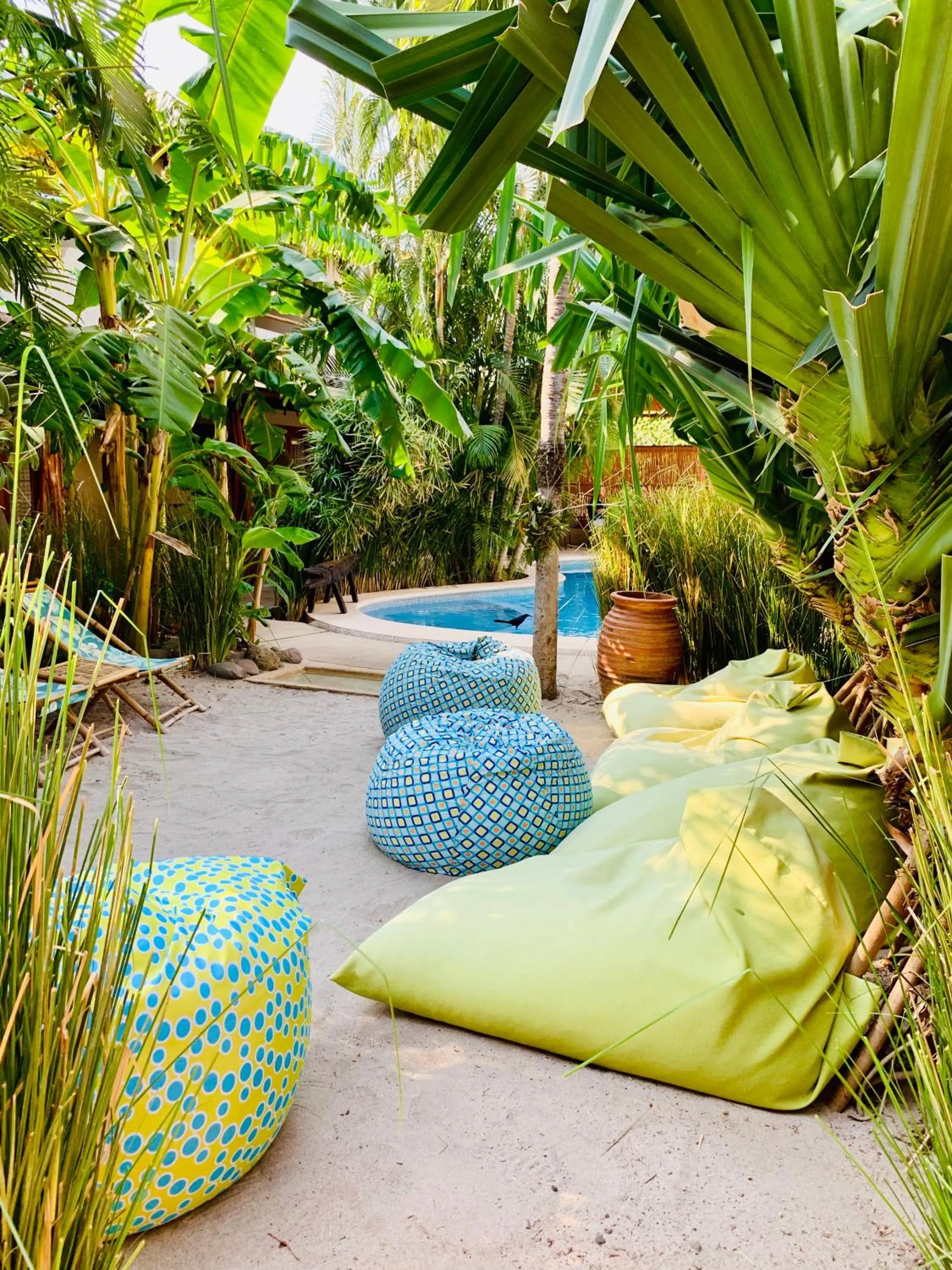 Garden in Ten North Tamarindo Beach Hotel