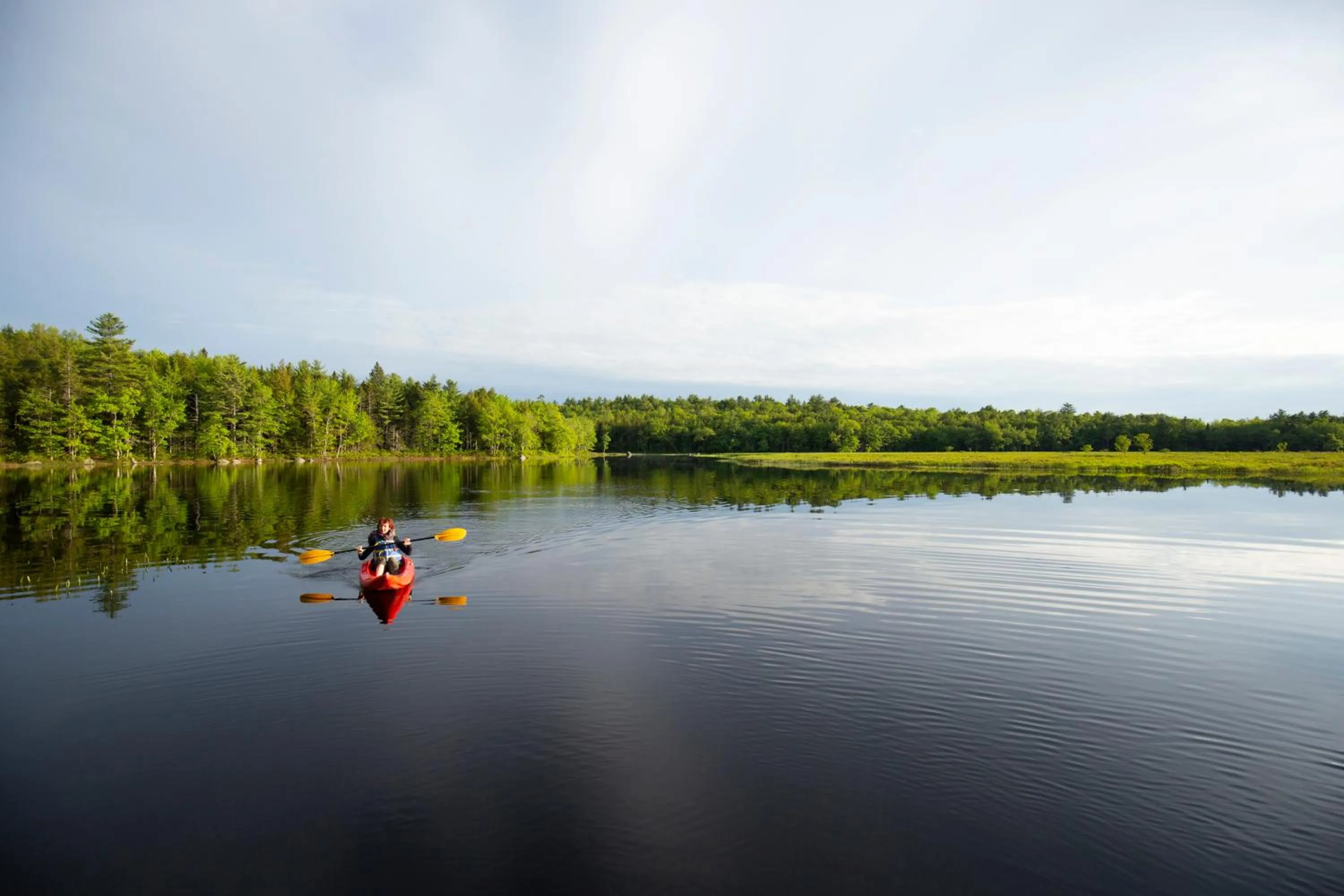 Natural landscape in Mersey River Chalets a nature retreat
