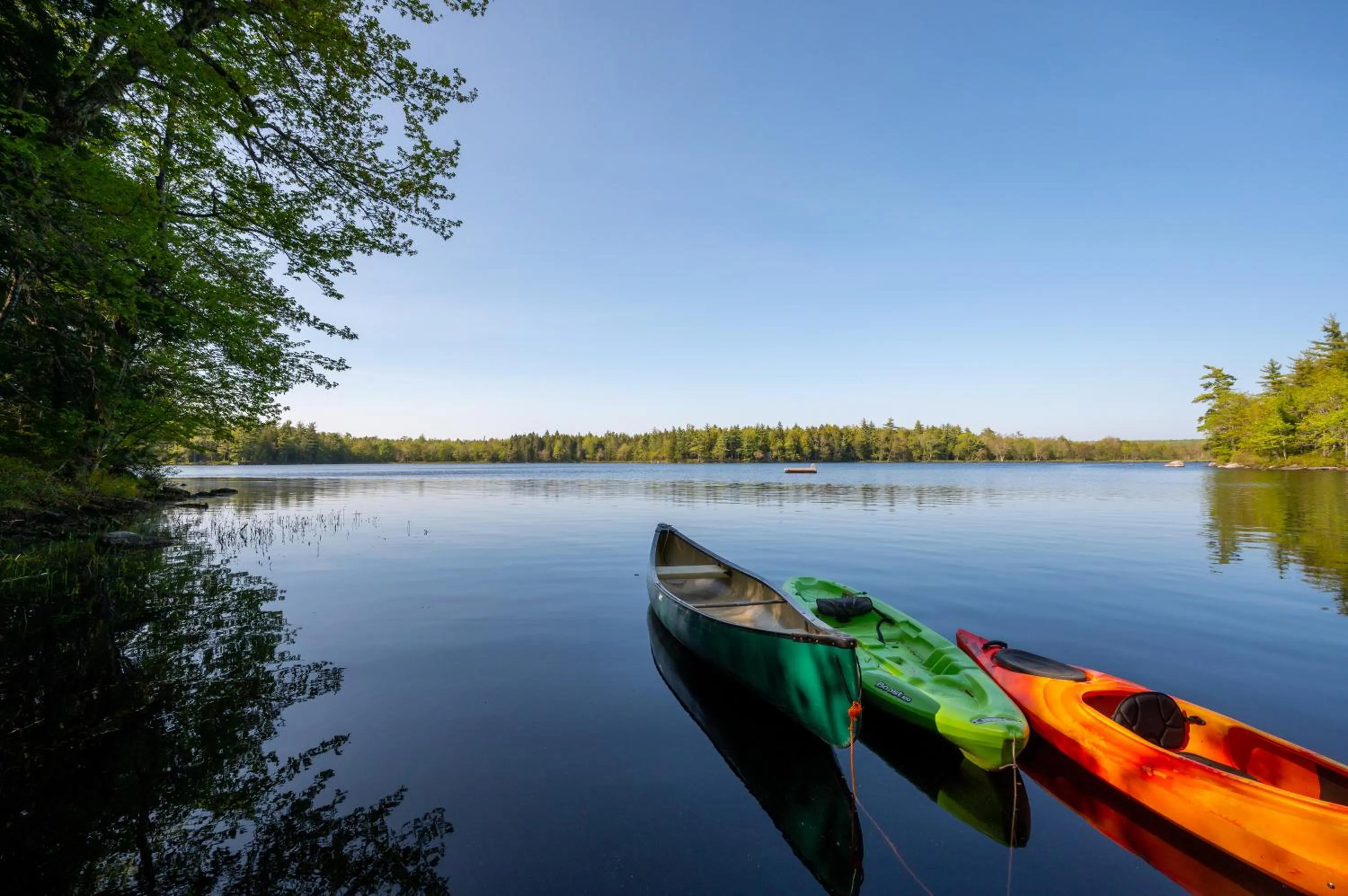 Natural landscape in Mersey River Chalets a nature retreat