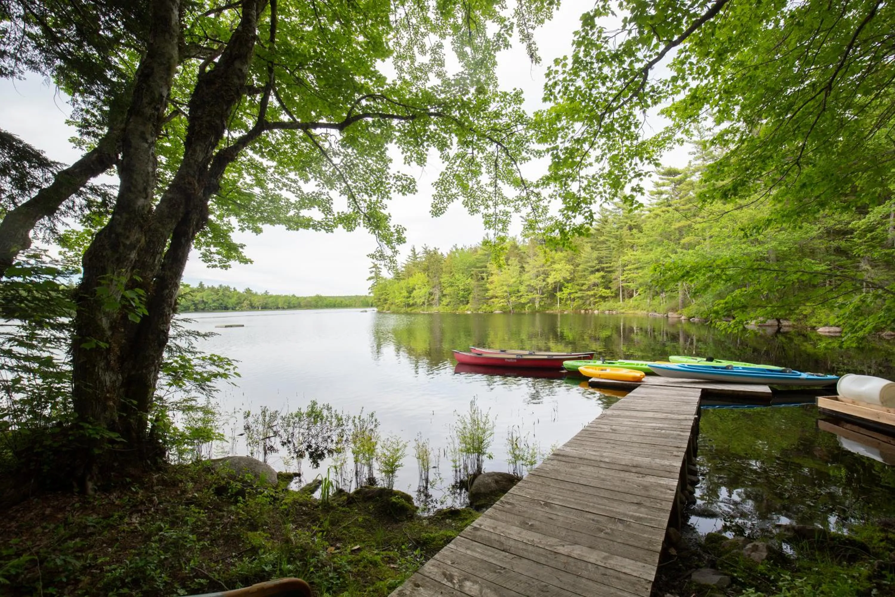 Canoeing in Mersey River Chalets a nature retreat