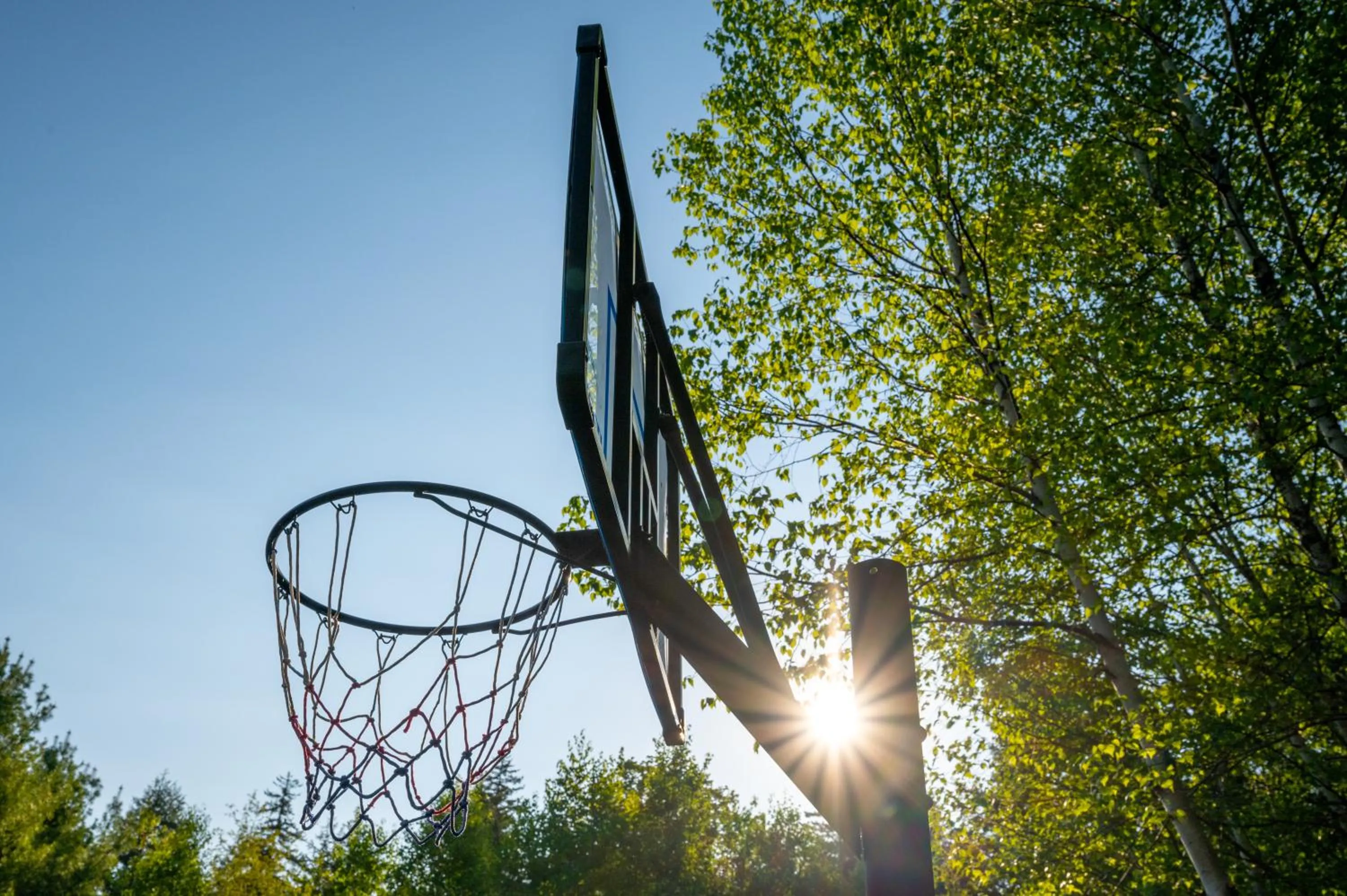 Activities in Mersey River Chalets a nature retreat