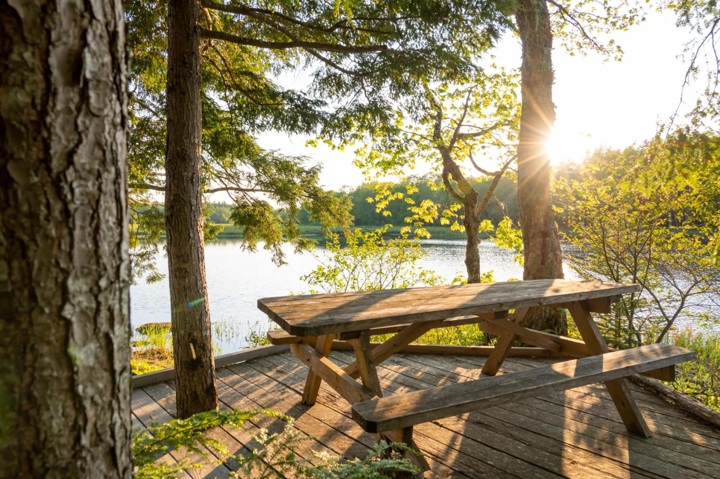 Natural landscape in Mersey River Chalets a nature retreat