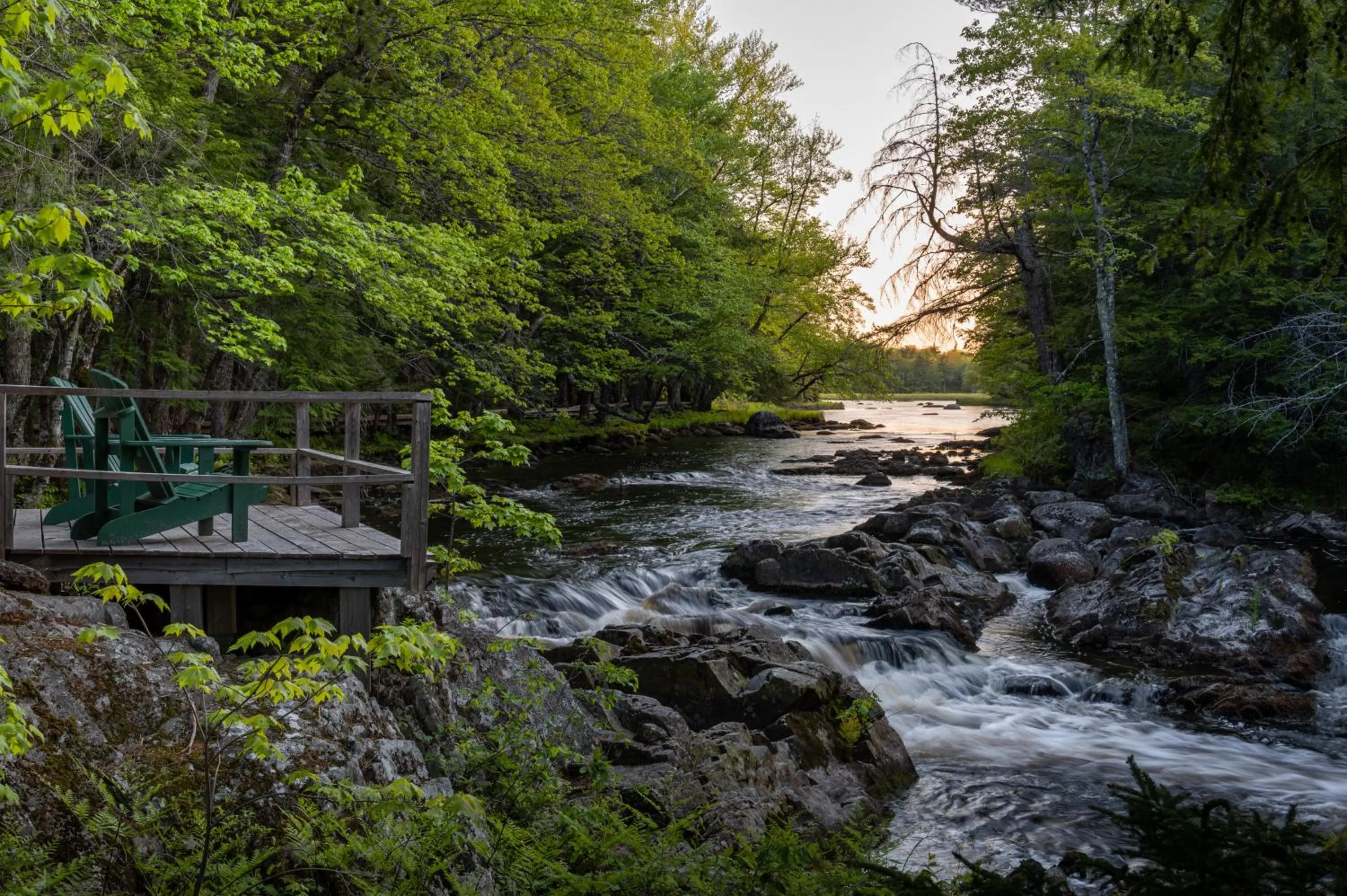 Natural landscape in Mersey River Chalets a nature retreat