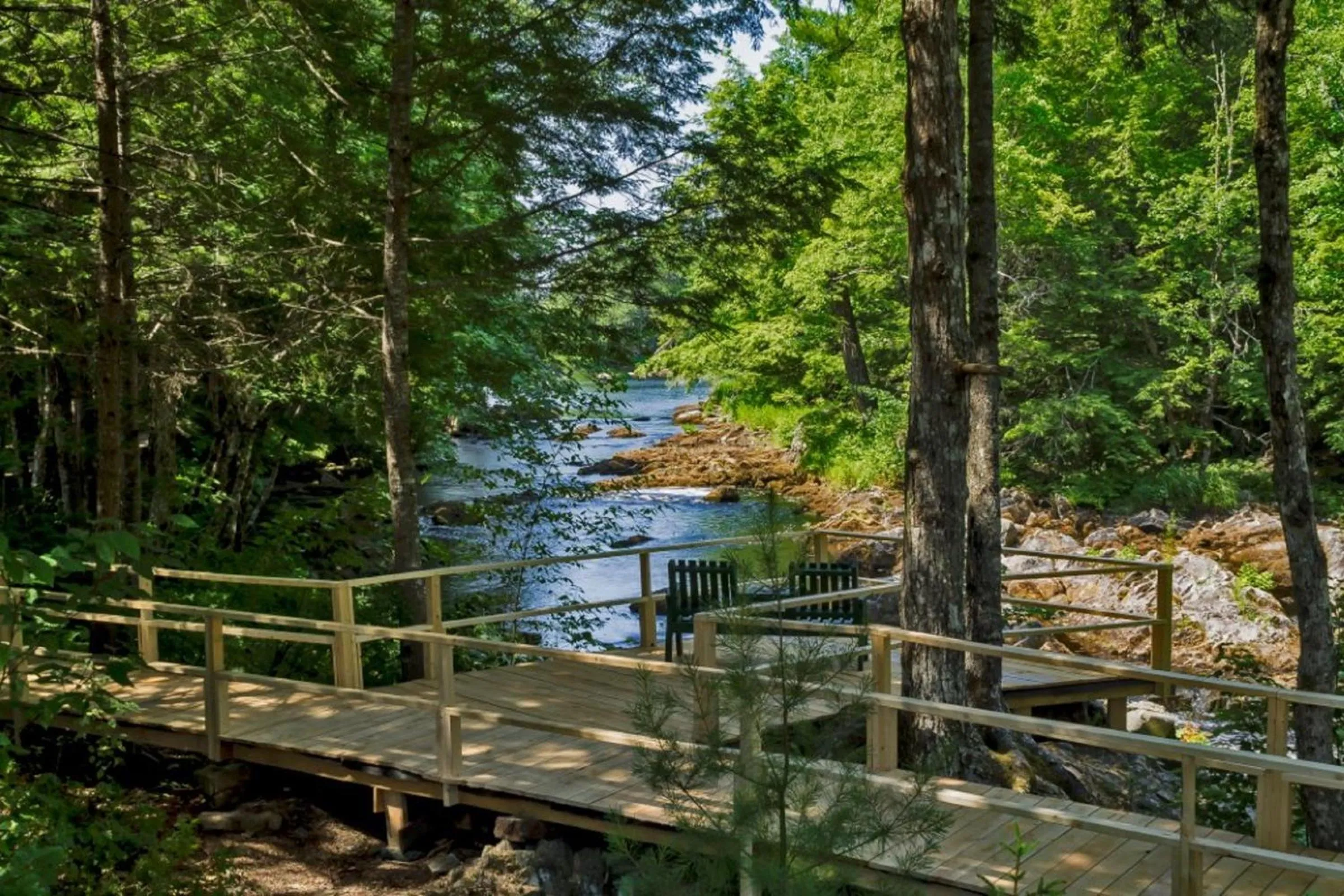 River view in Mersey River Chalets a nature retreat