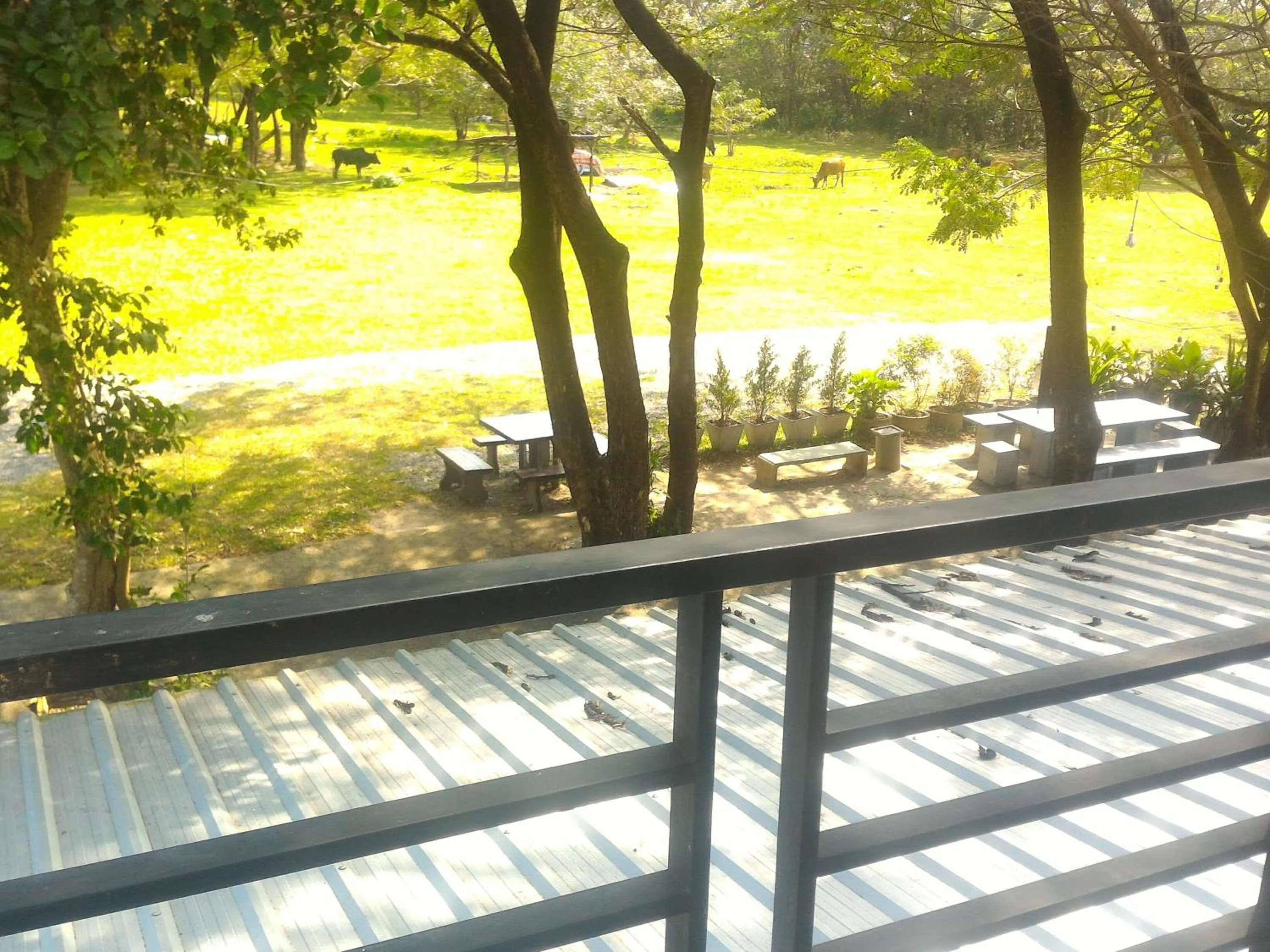 Other in Loftel @ Nakhon