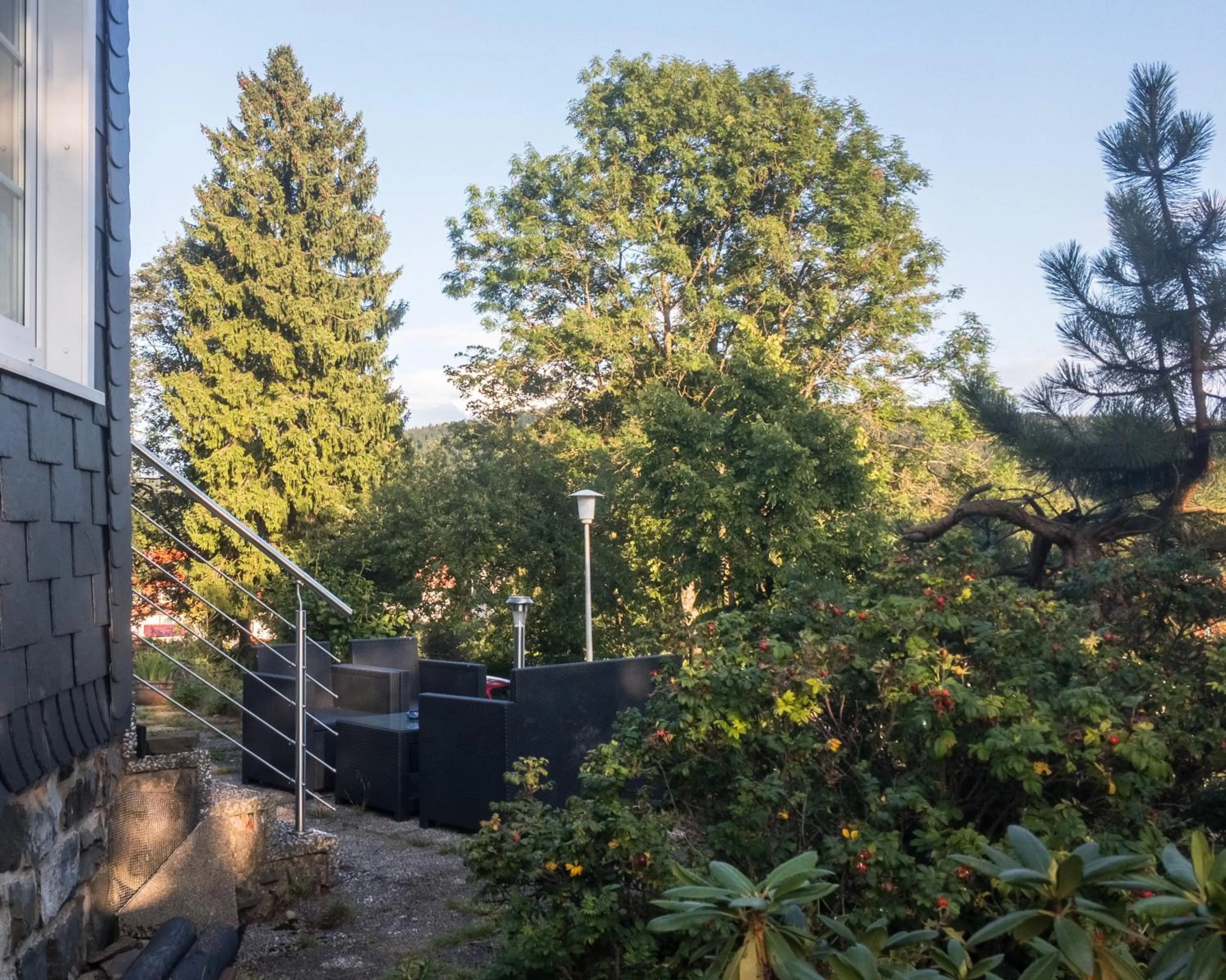 View (from property/room) in Haus Waldwiese