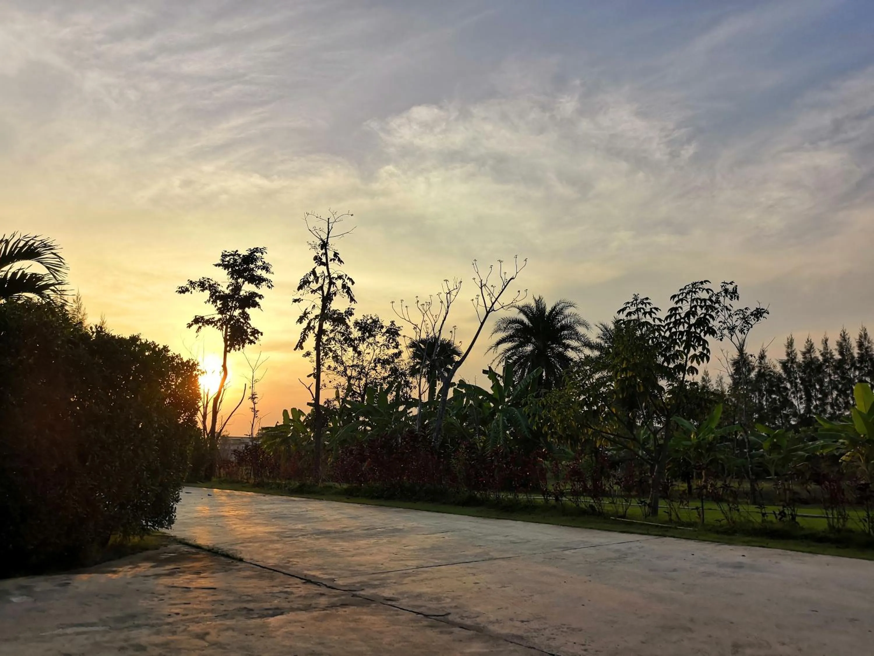 Natural landscape in On Green Resort