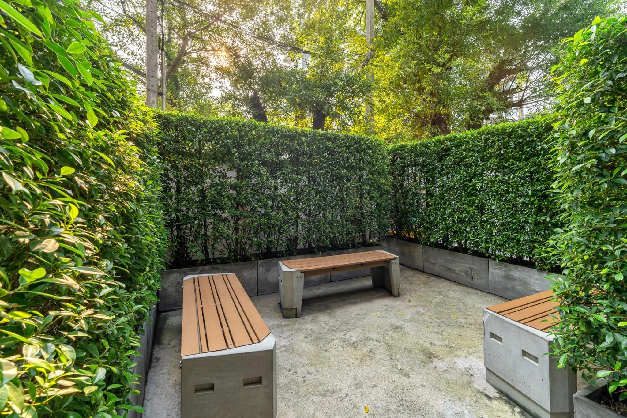 Garden in Naga Residence