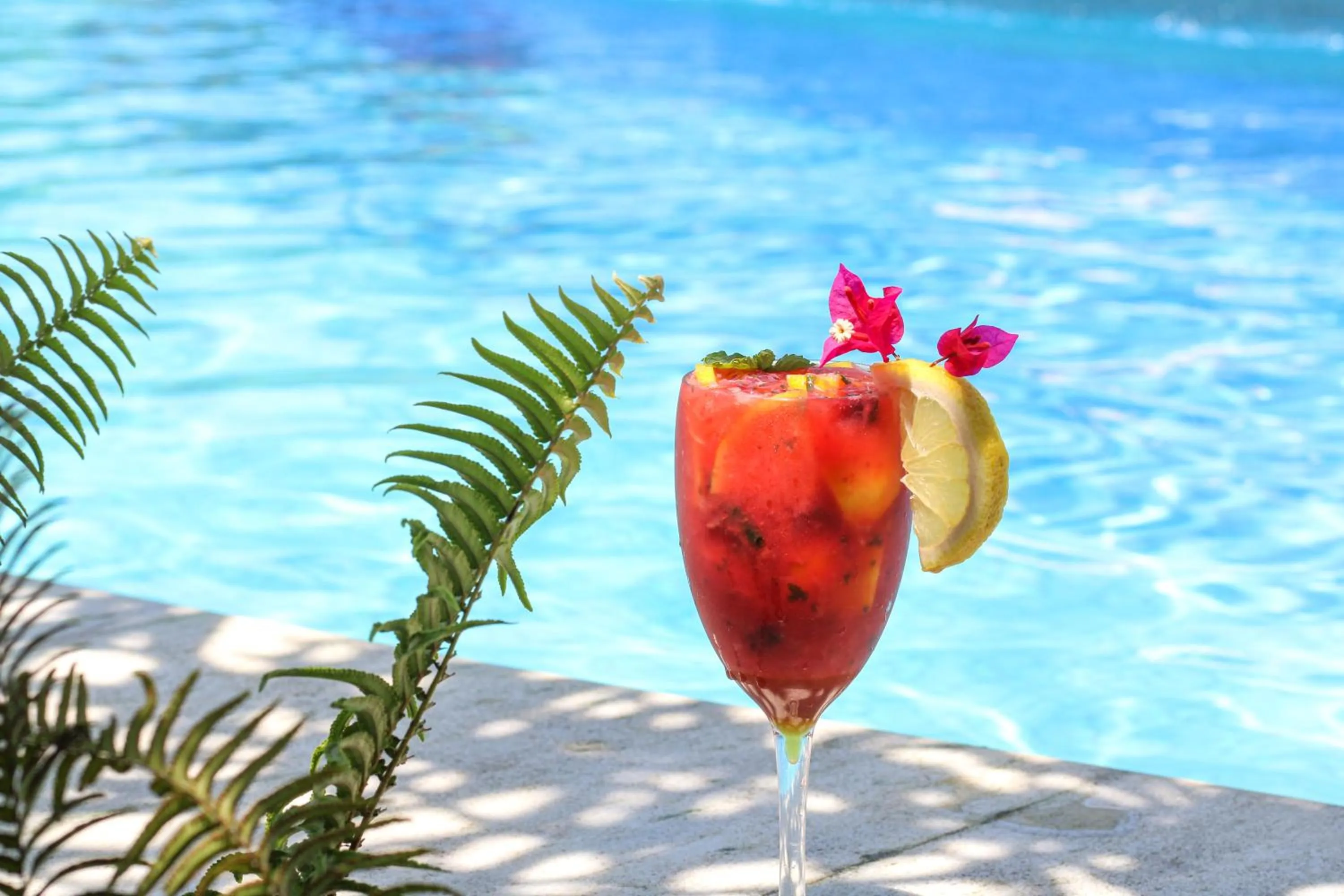 Alcoholic drinks in Hotel Tibau Lagoa