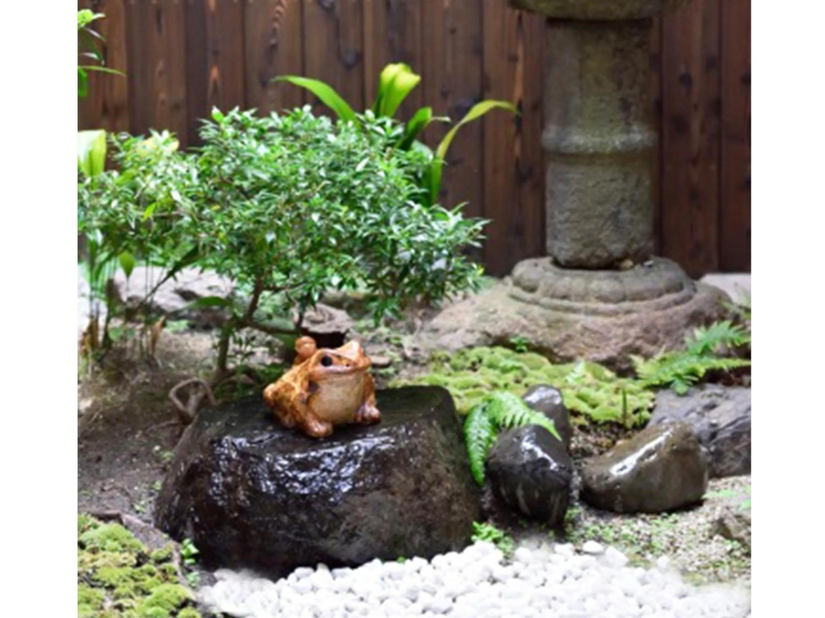 Area and facilities in Kasuian