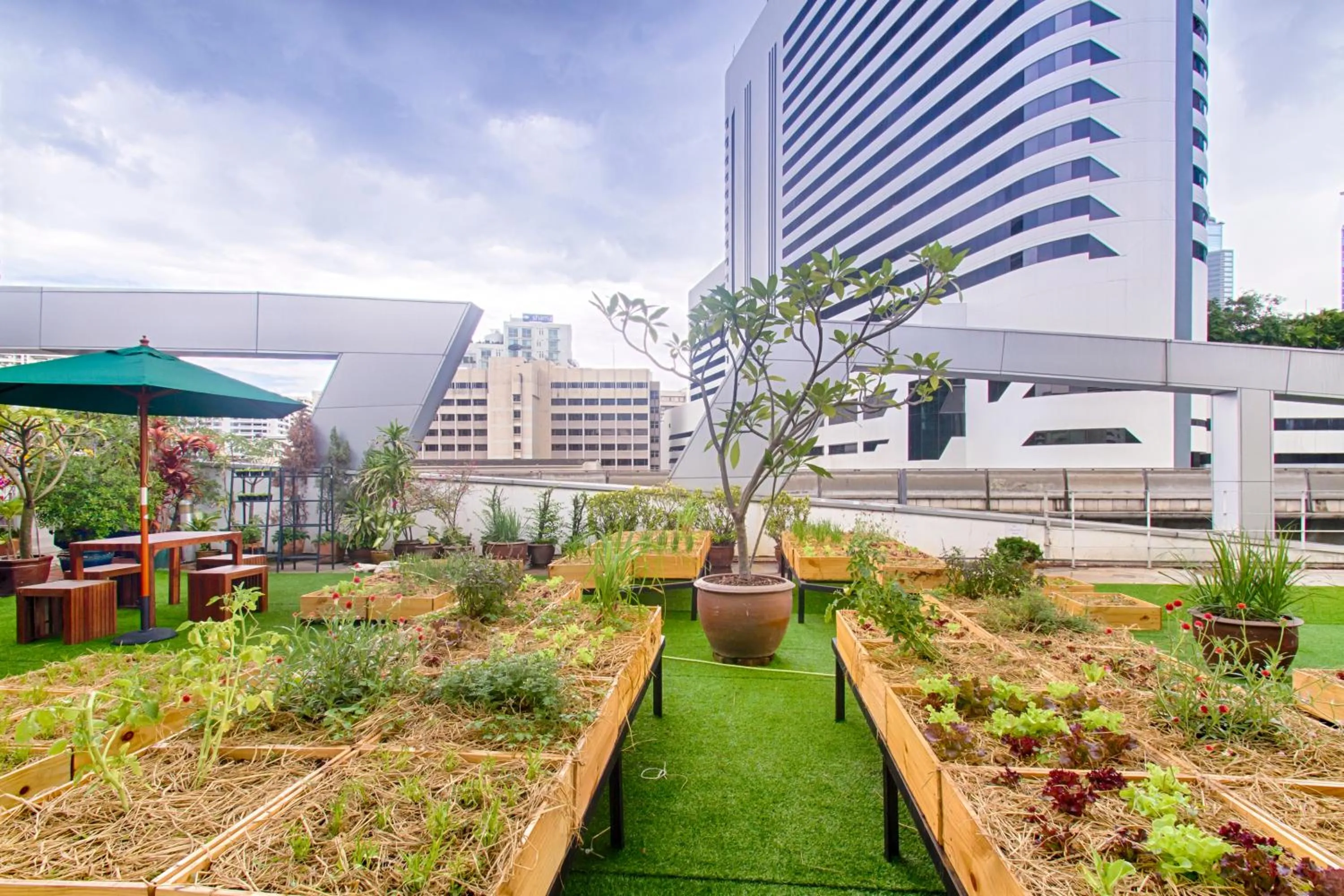 Garden in Hom Hostel & Cooking Club