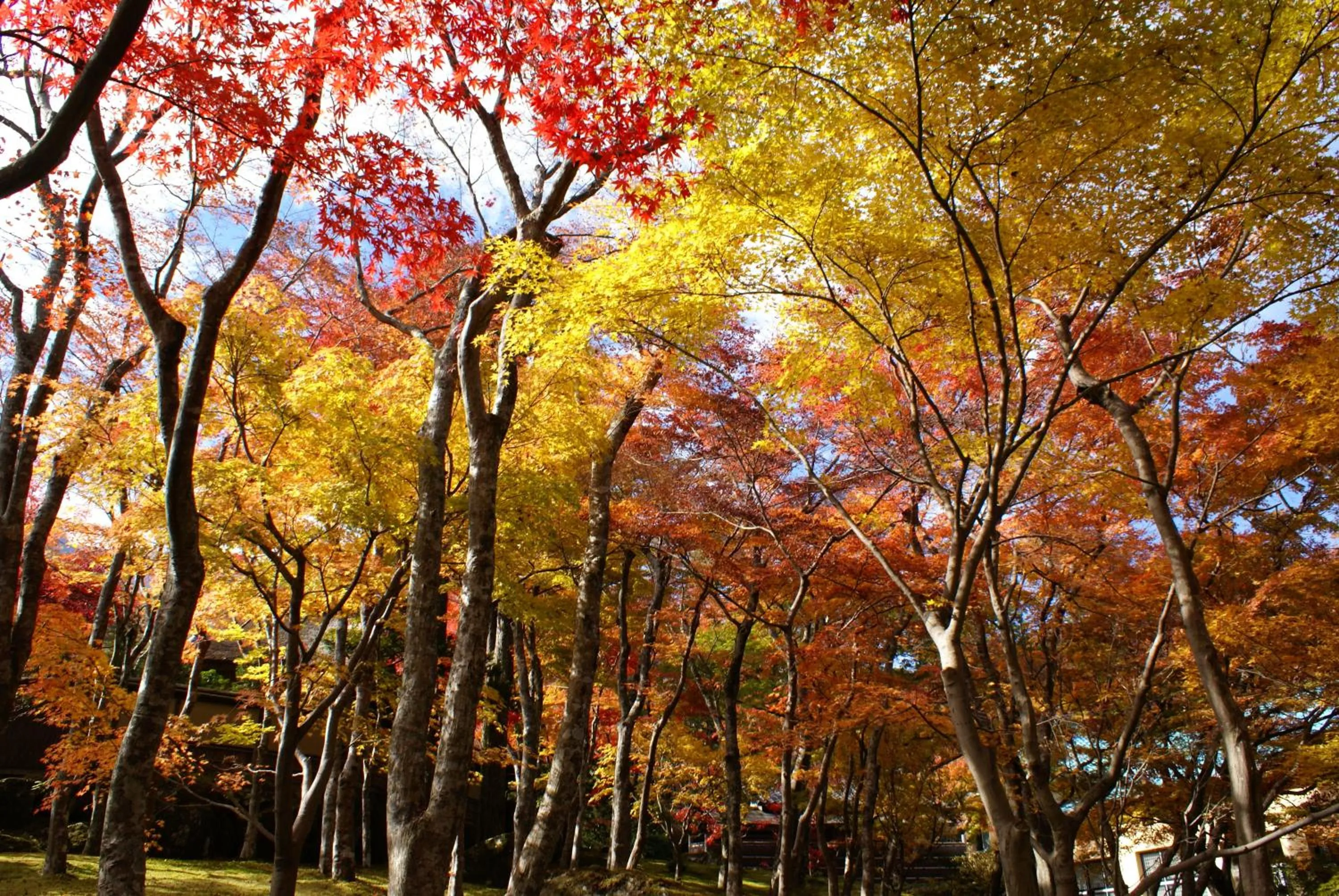 Nearby landmark in Yutorelo-an ANNEX