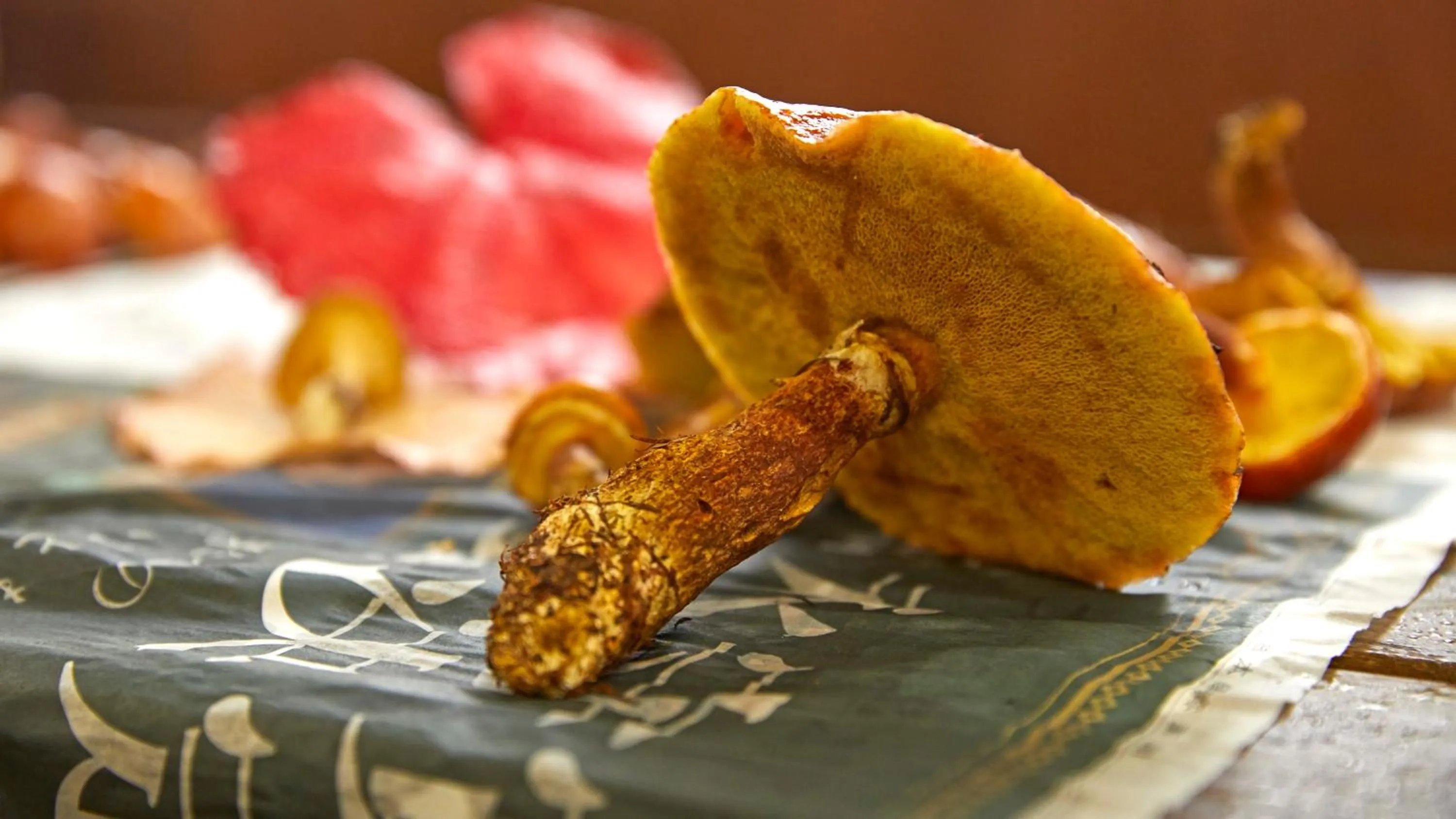 Activities in Tengu Onsen Asama Sanso