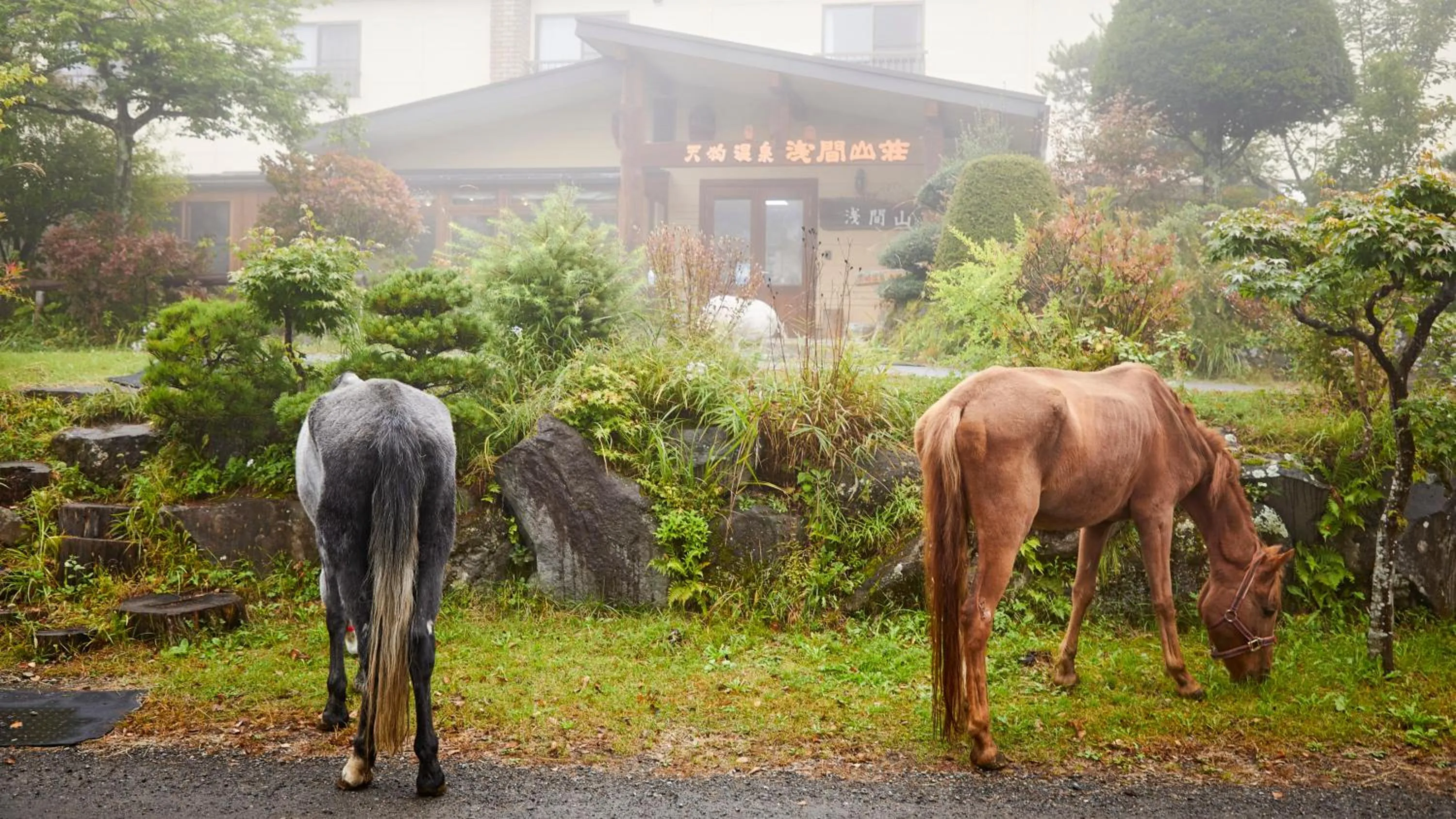 Horse-riding in Tengu Onsen Asama Sanso