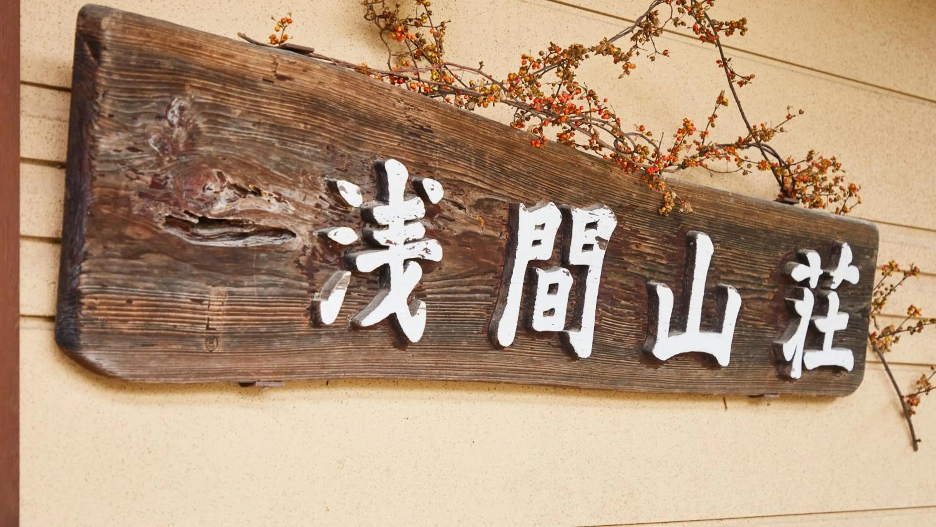 Property logo or sign in Tengu Onsen Asama Sanso