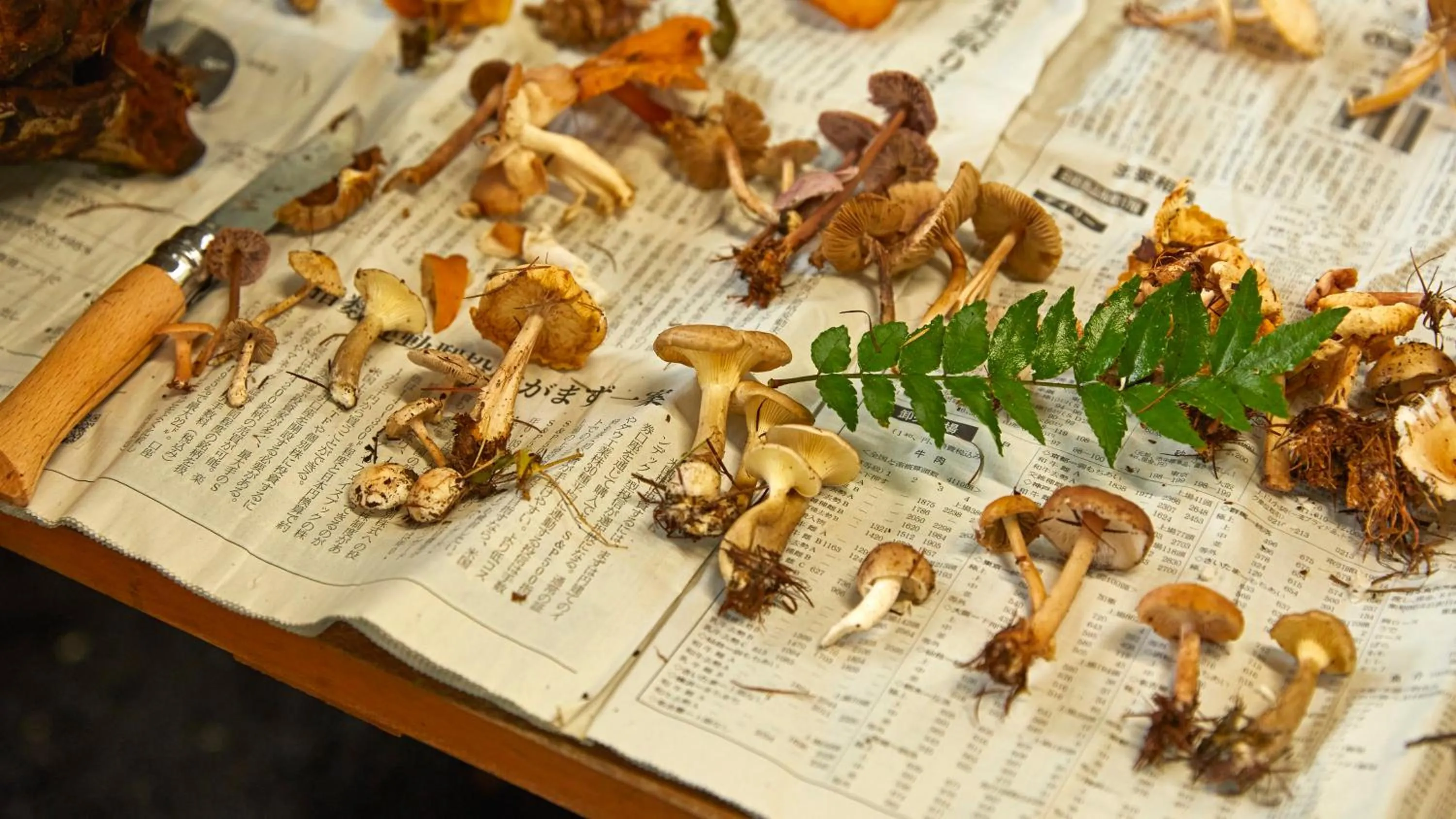 Activities in Tengu Onsen Asama Sanso