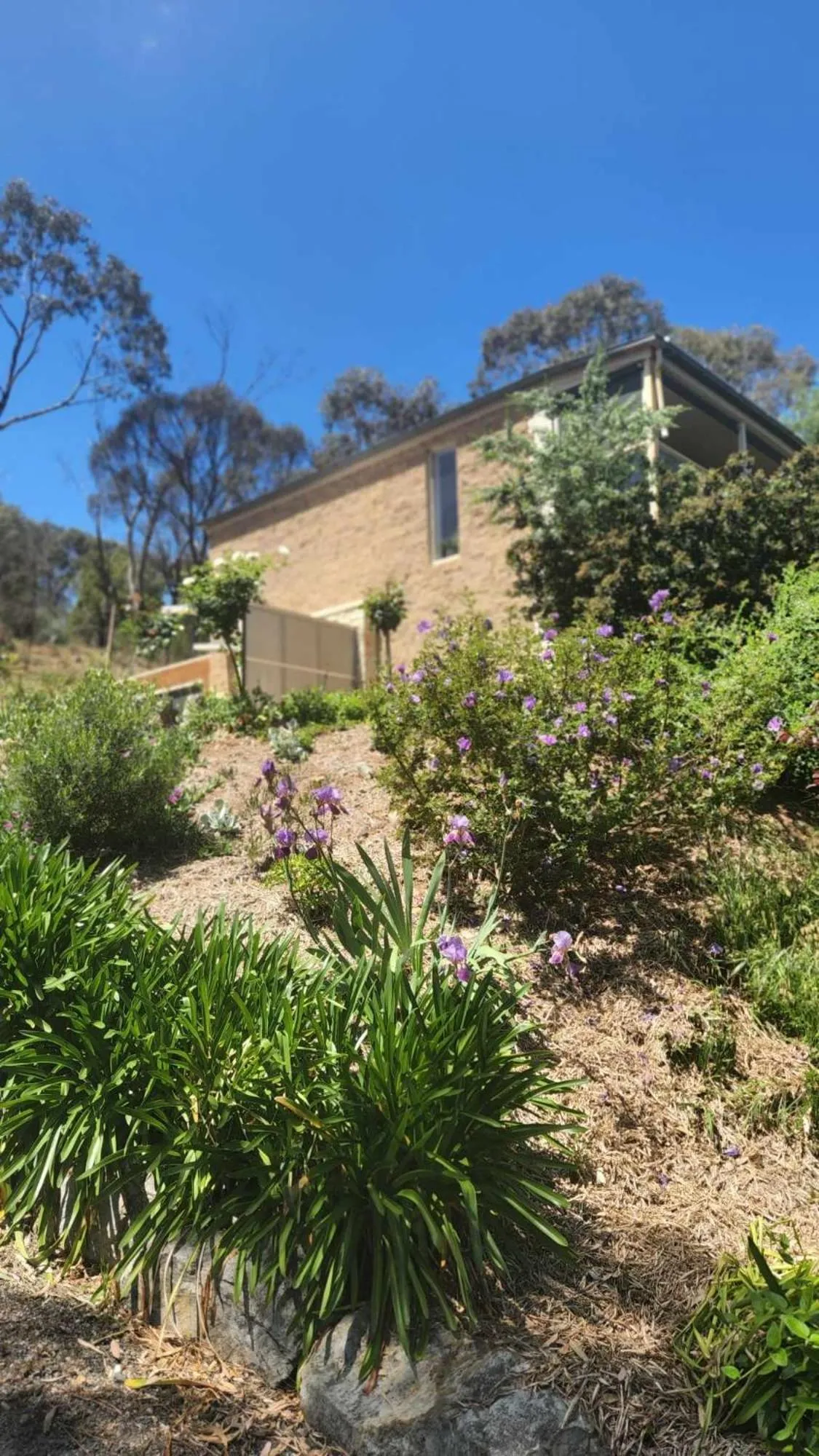 Property building in Riesling Trail & Clare Valley Cottages