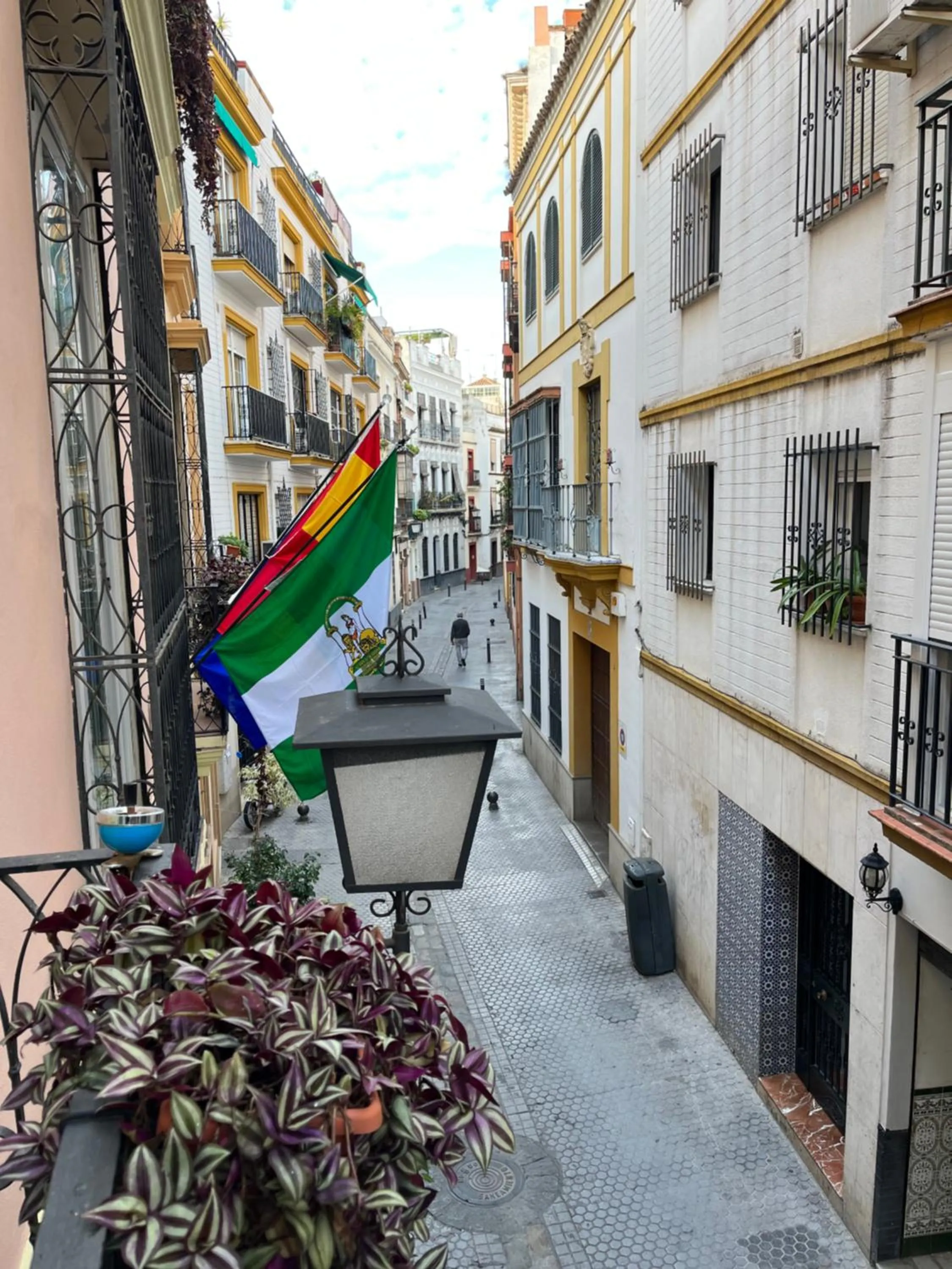 Day in Un Patio al Sur