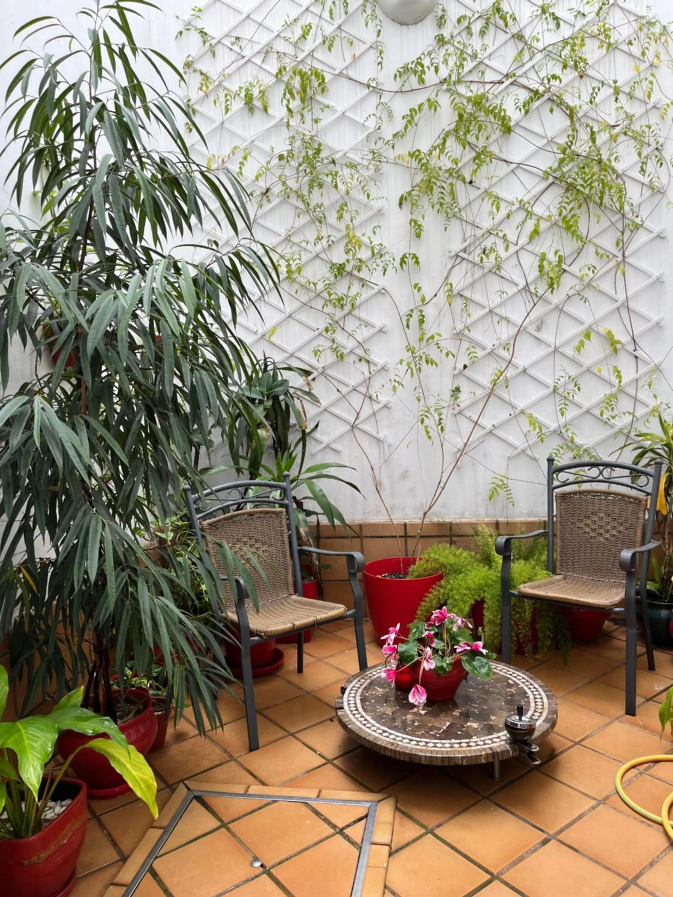 Patio in Un Patio al Sur