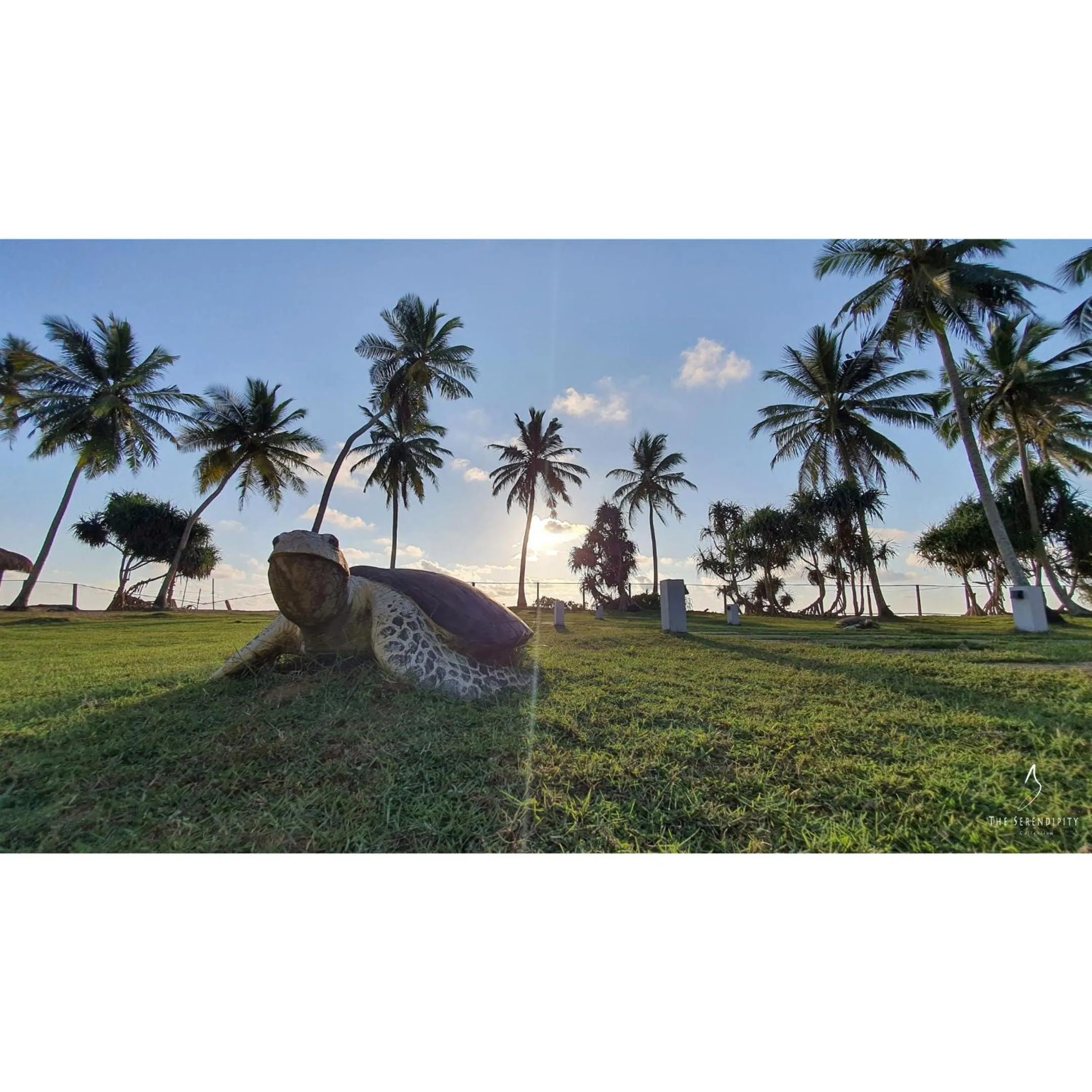 View (from property/room) in Green Turtle Villa by TSC, Bentota