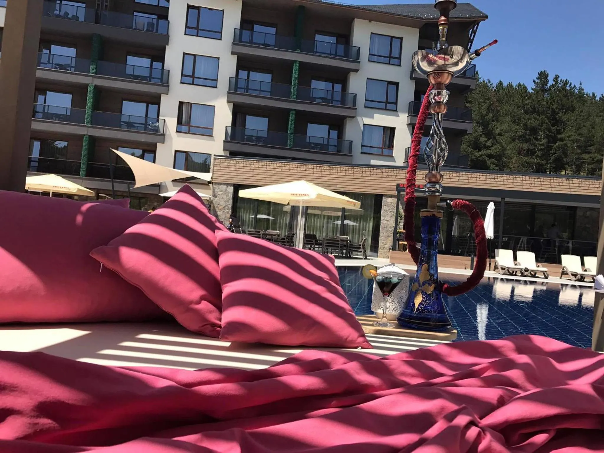 Garden in Hotel Arte SPA & Park