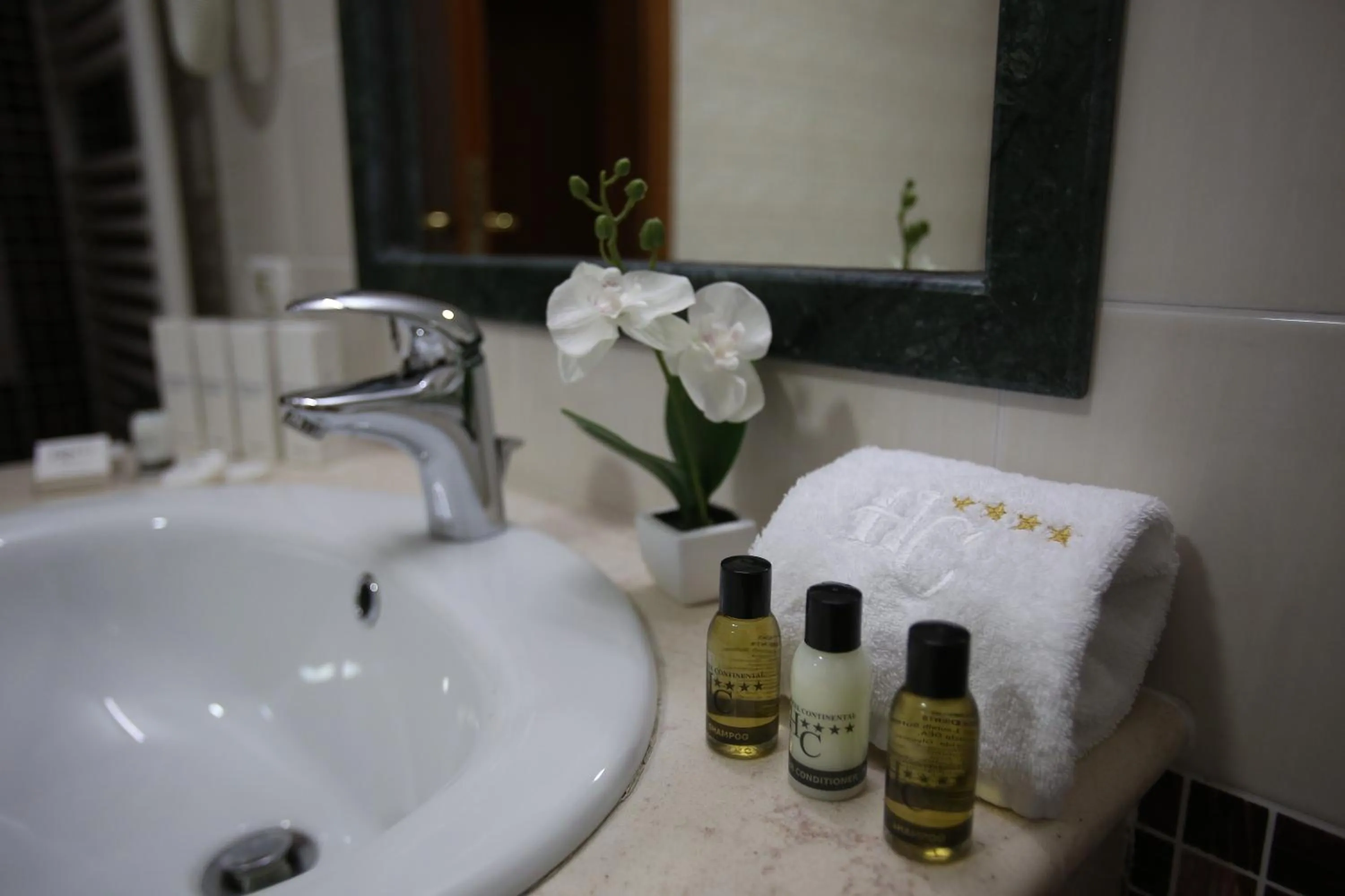 Bathroom in Hotel Continental