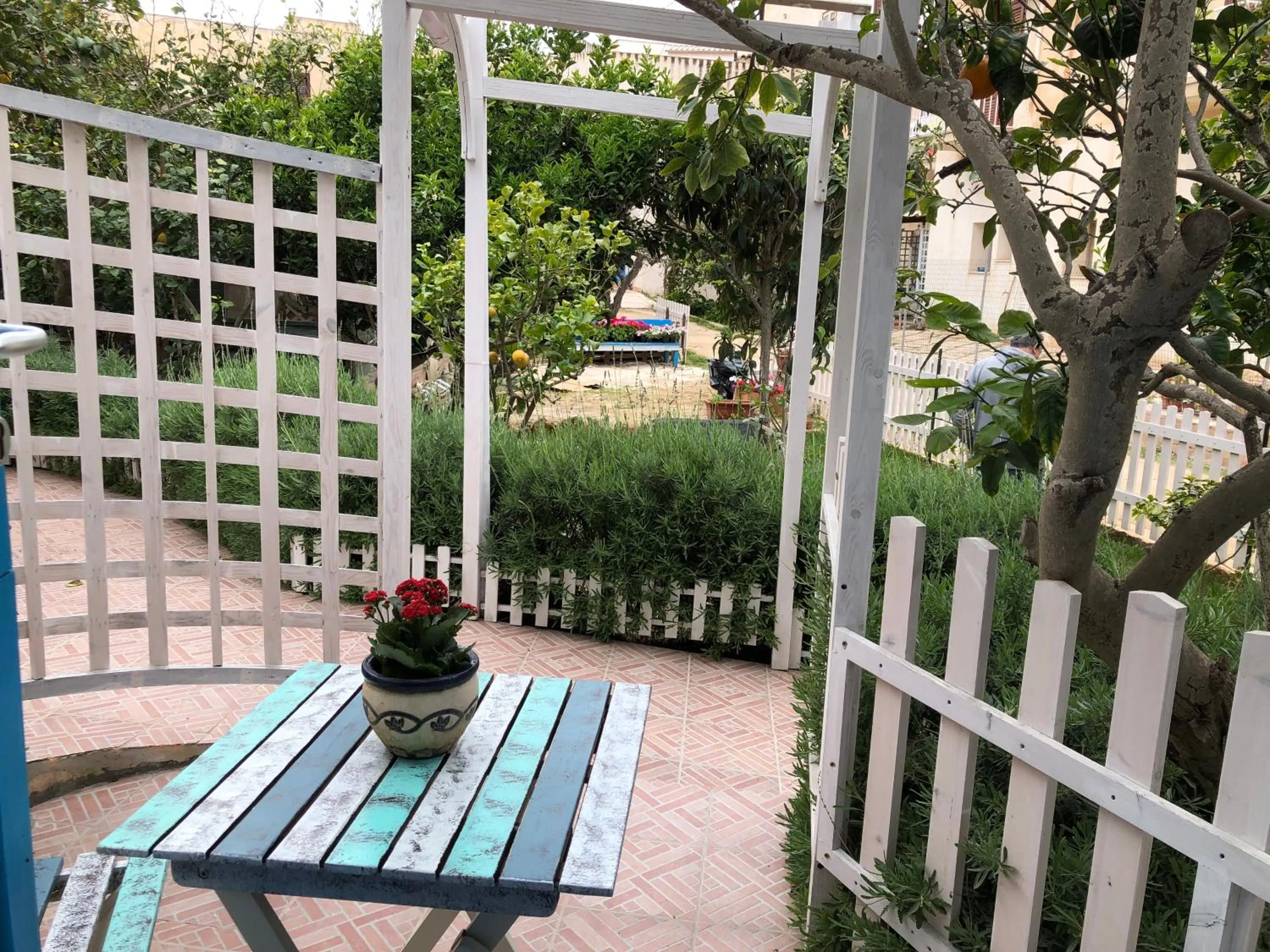 Balcony/Terrace in La Casa del Limoneto