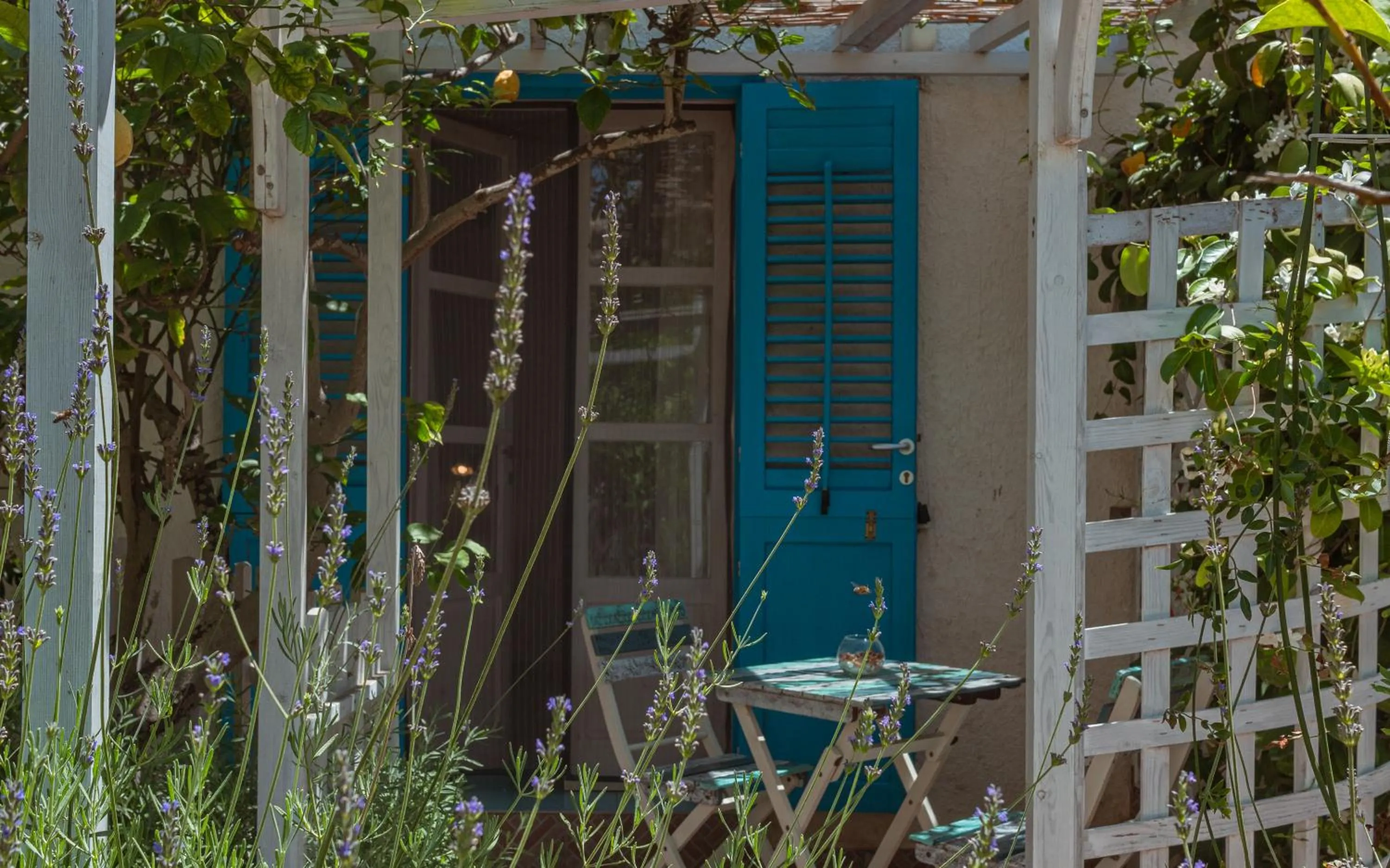 Patio in La Casa del Limoneto