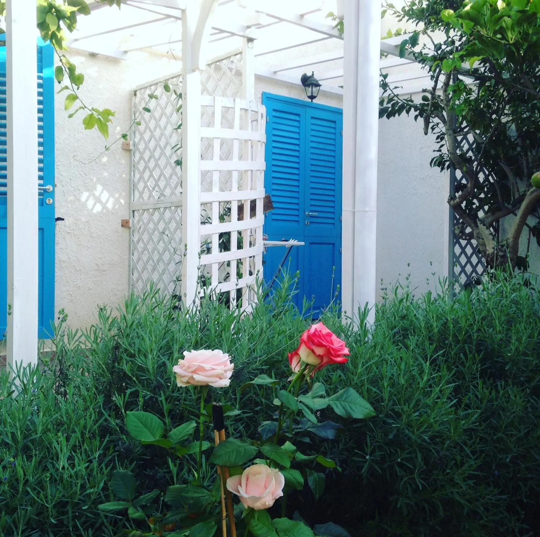 Garden in La Casa del Limoneto