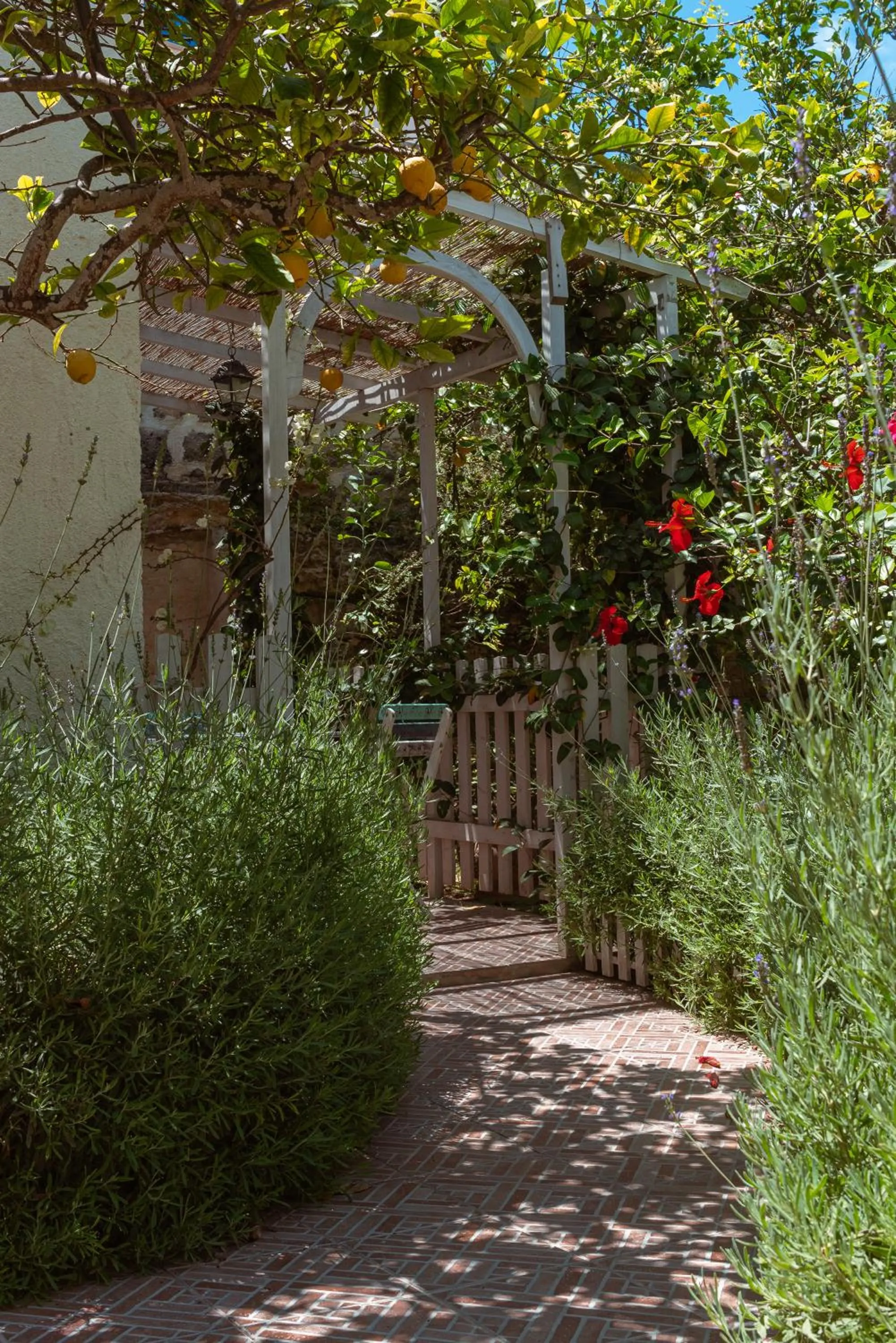 Patio in La Casa del Limoneto