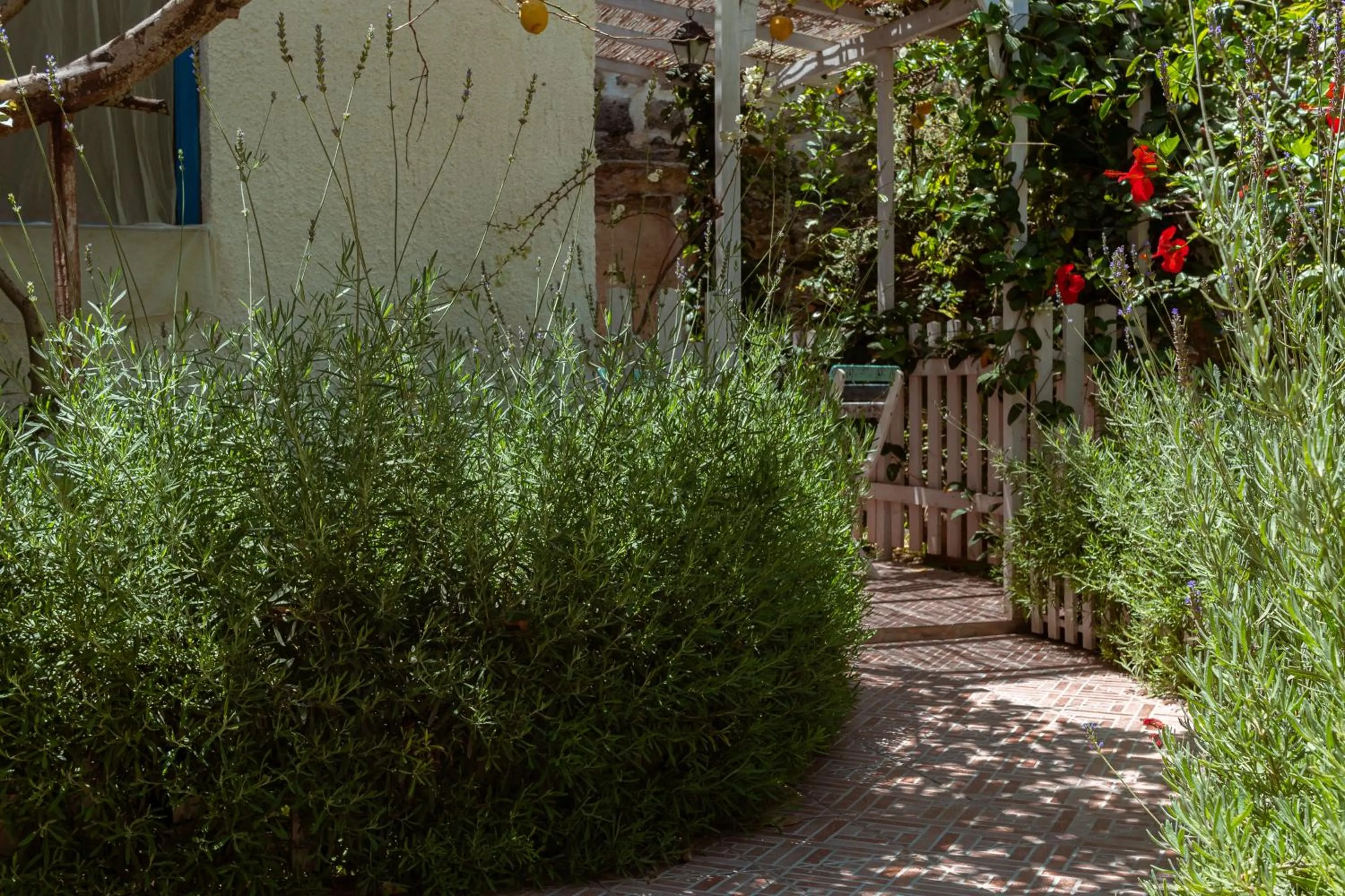 Garden in La Casa del Limoneto