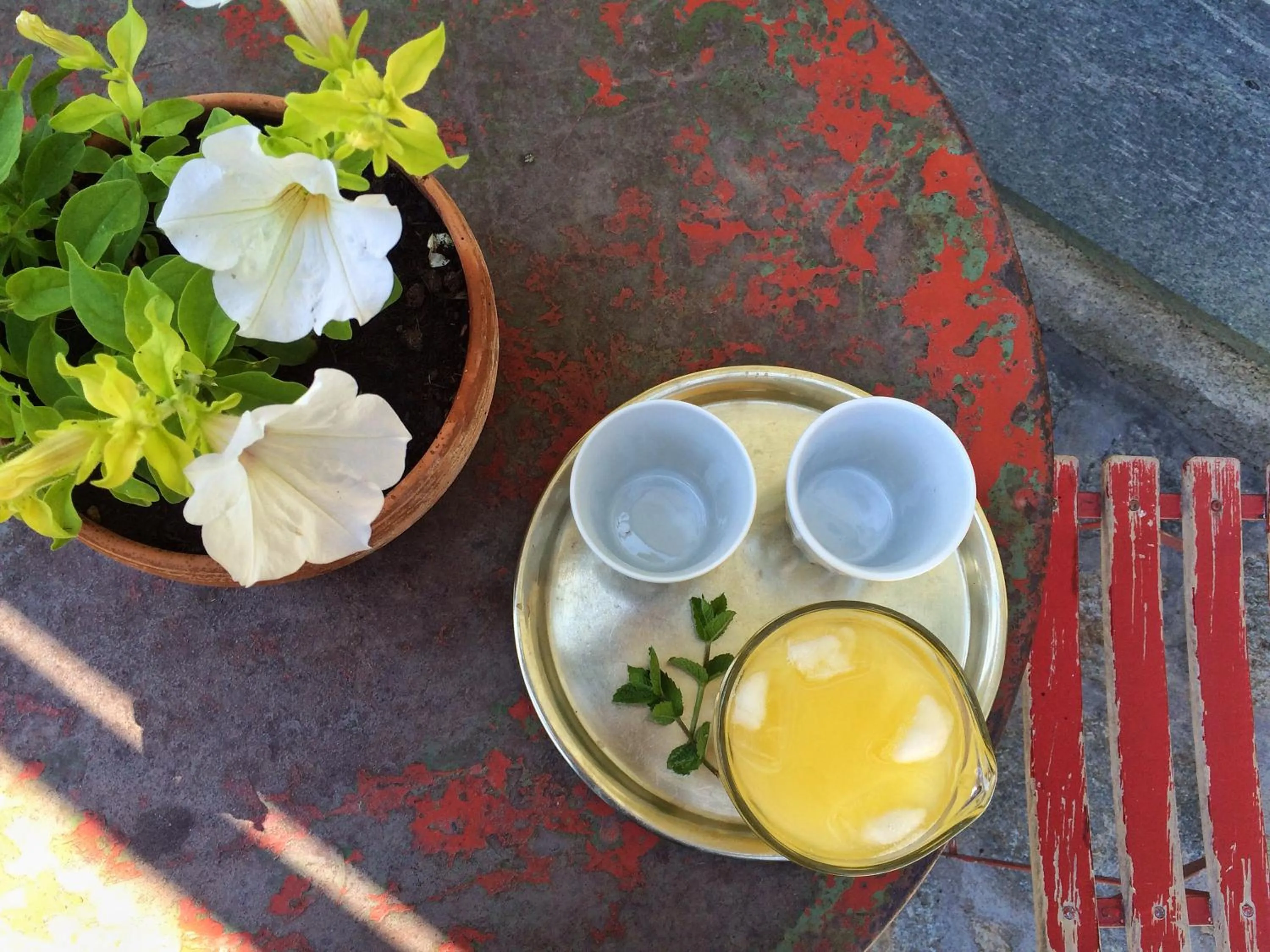 Garden in I Calleri Garden and Rooms